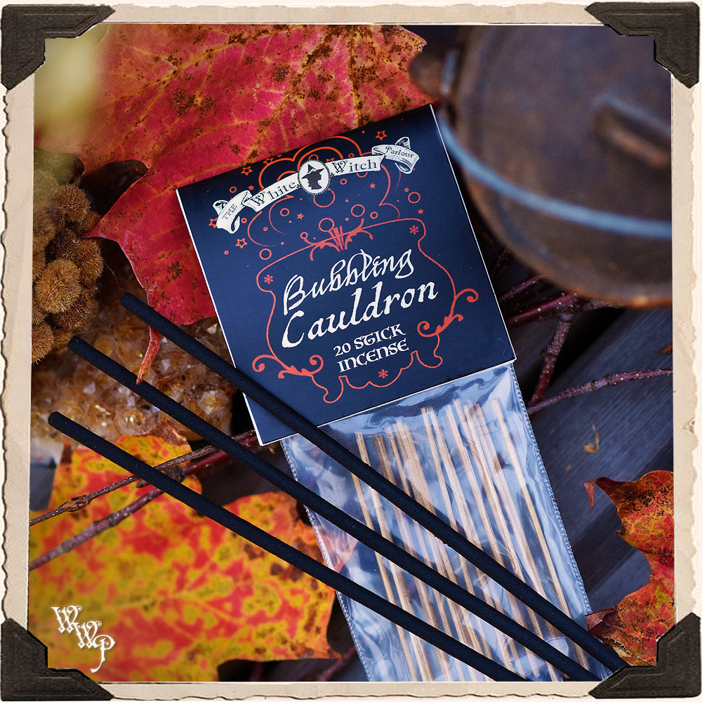 SPRUDELNDER KESSEL RÄUCHERSTÄBCHEN. Packung mit 20 Stäbchen. Zur Manifestation, Weissagung & Samhain Schutz.