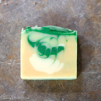 Shampooing Citron Menthe