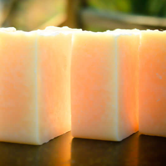 Shampooing Soie et Protéines