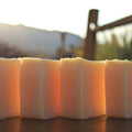 Shampooing Soie et Protéines