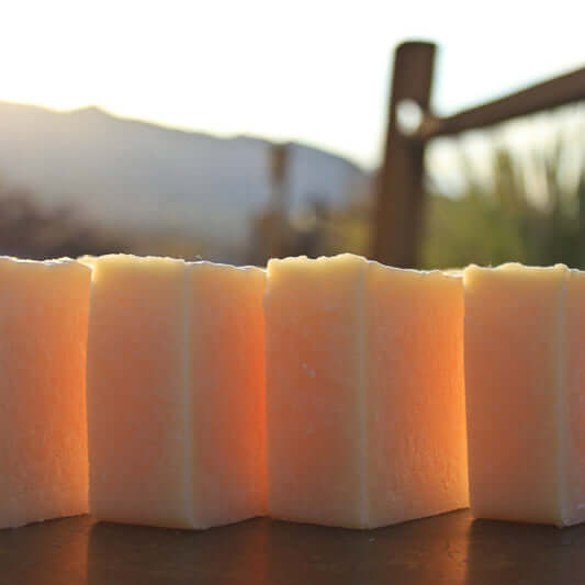 Shampooing Soie et Protéines