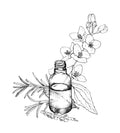 Déodorant aux probiotiques et au magnésium à la menthe herbacée