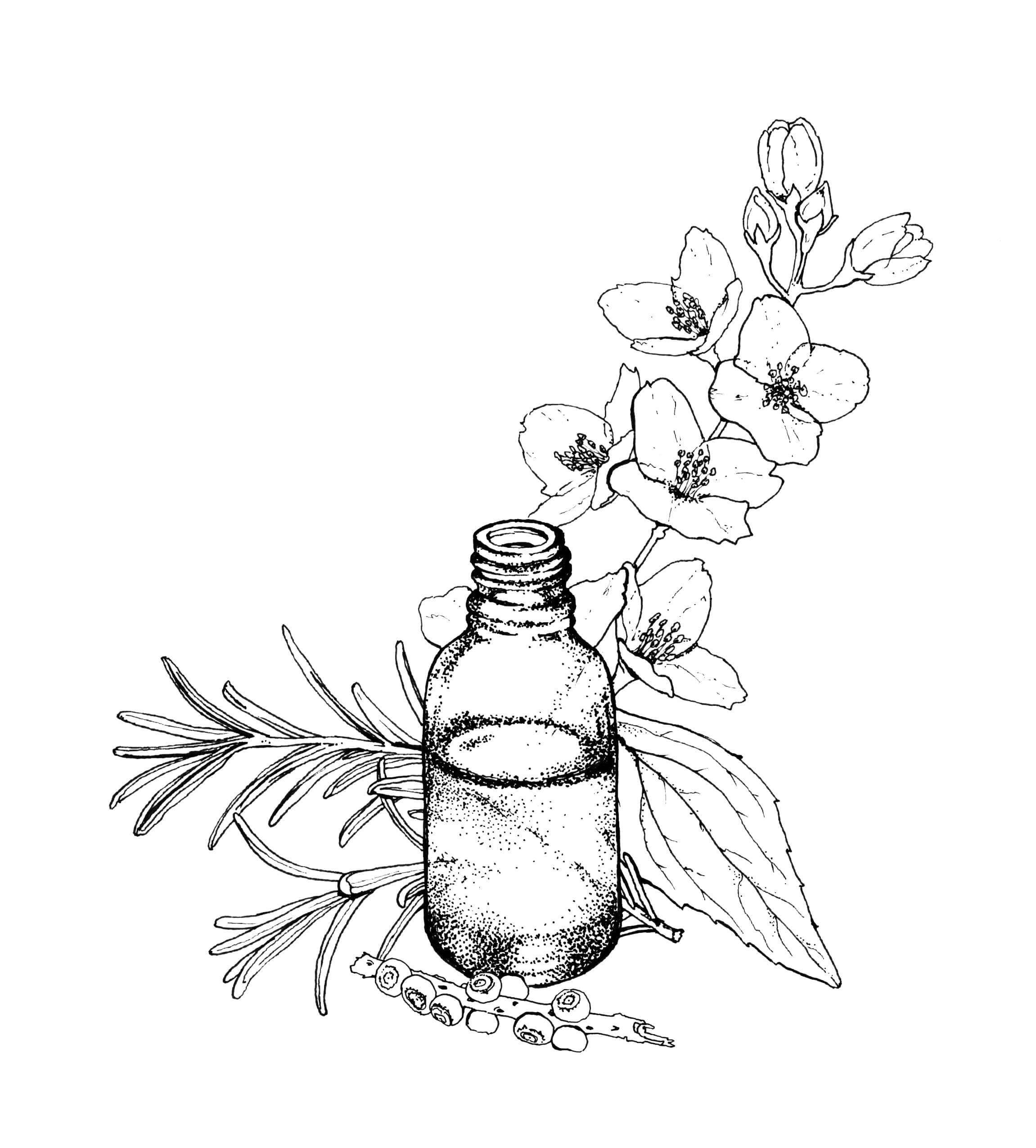 Déodorant aux probiotiques et au magnésium à la menthe herbacée