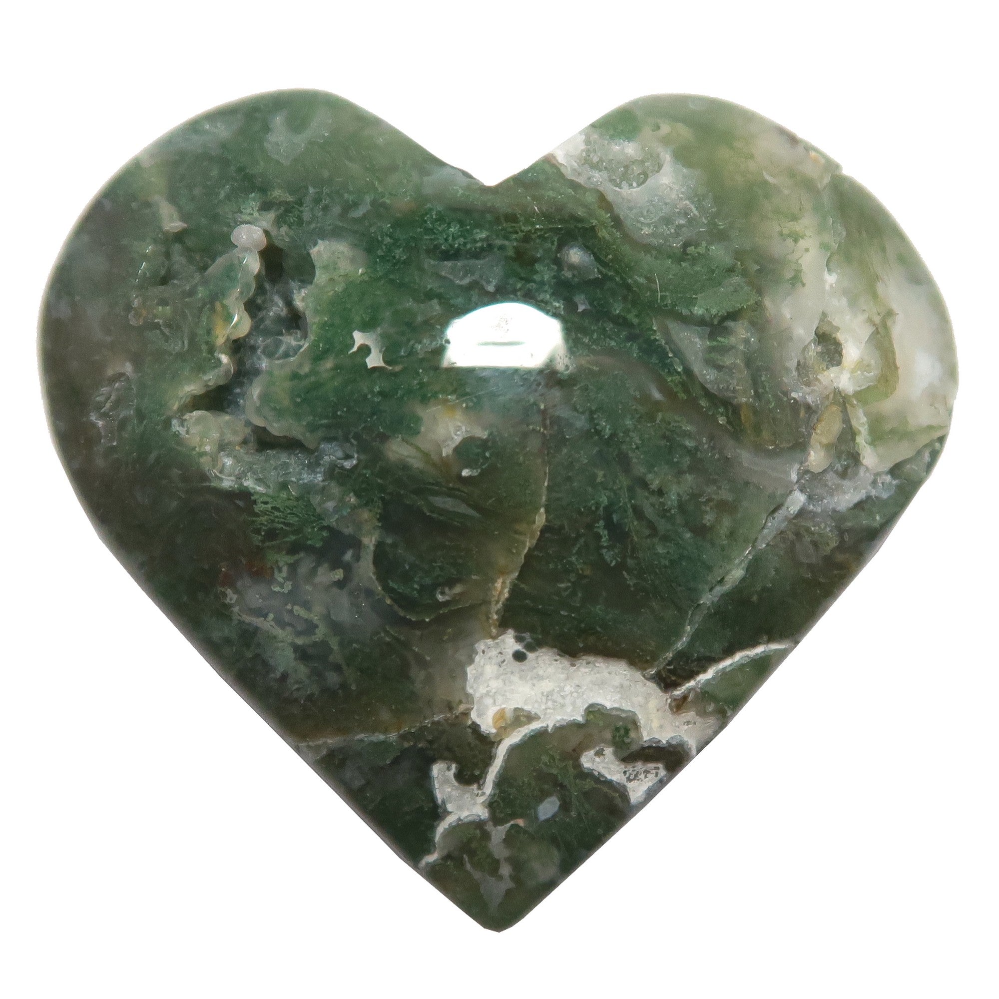 Moosachat Herz Grün Gefleckte Liebe Terrarium