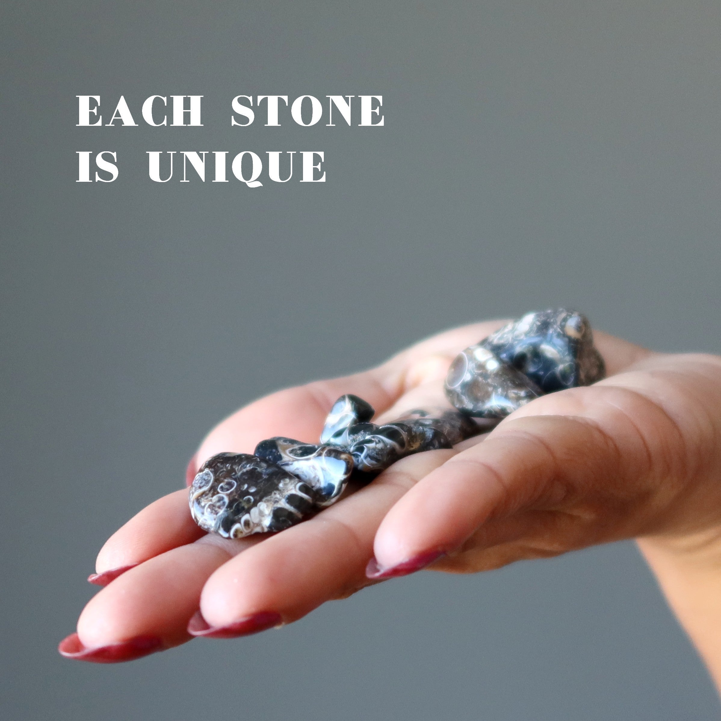 Turritella Agate Tumbled Stone Fossilized Crystal