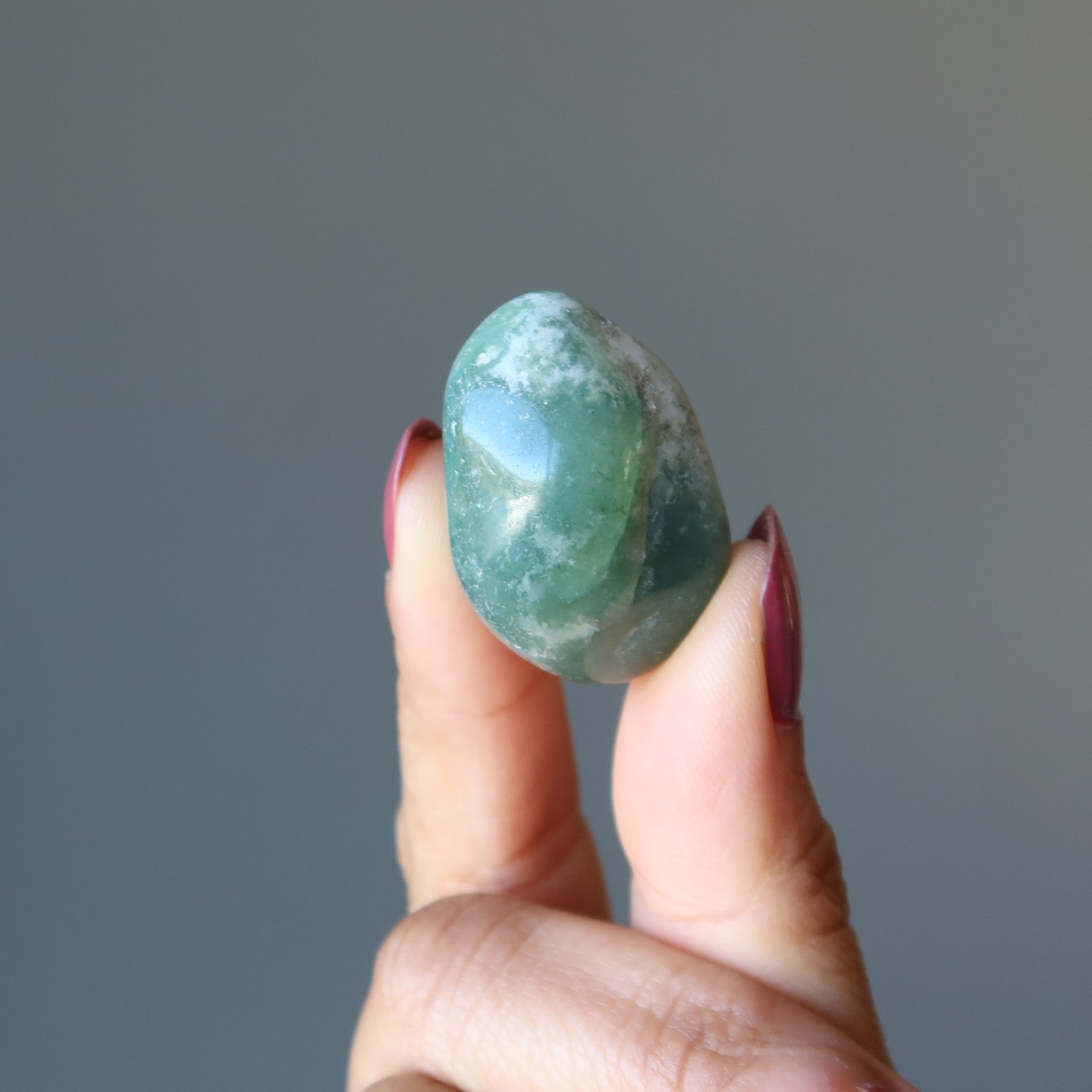 Tree Agate Tumbled Stone Great Outdoors Crystal