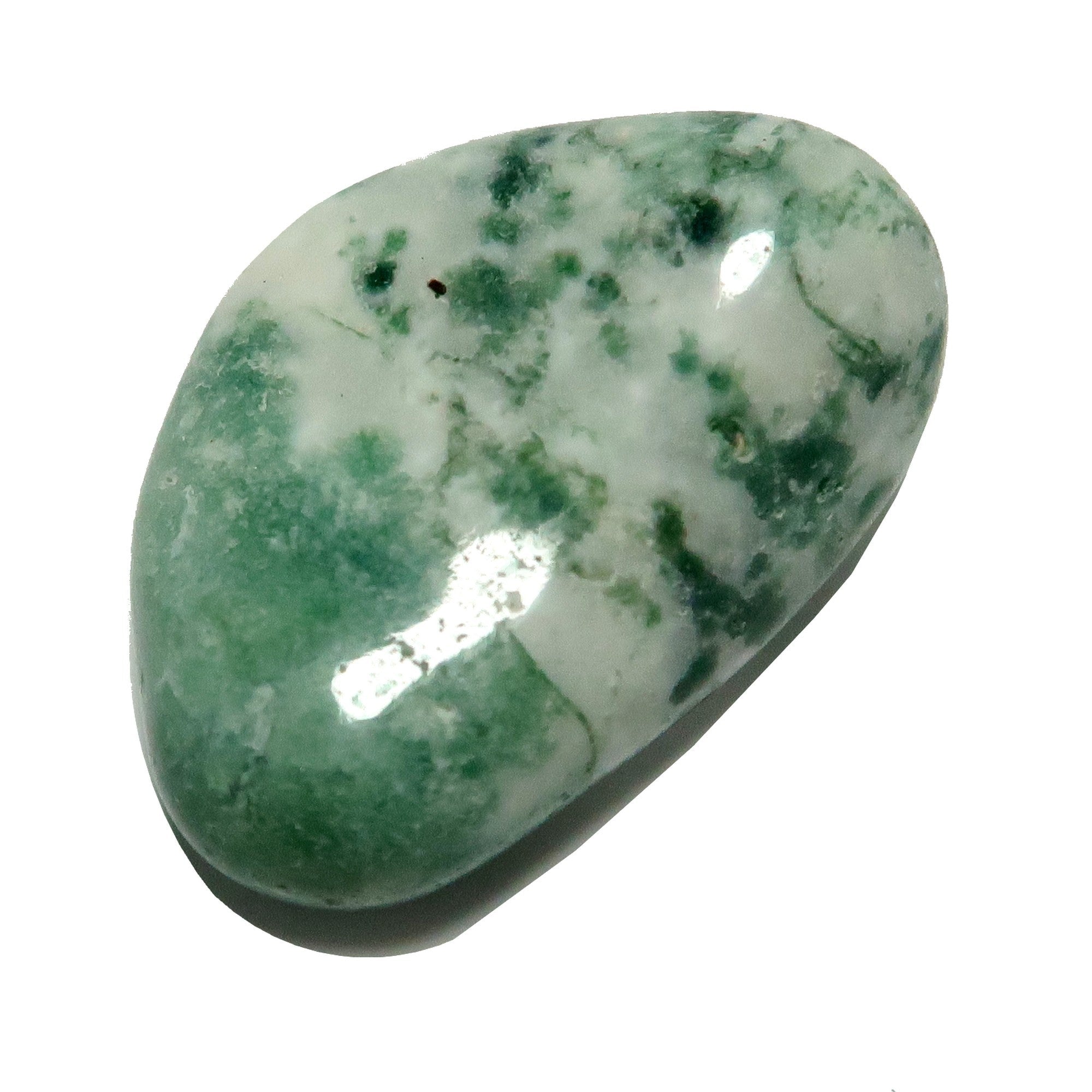 Tree Agate Tumbled Stone Great Outdoors Crystal