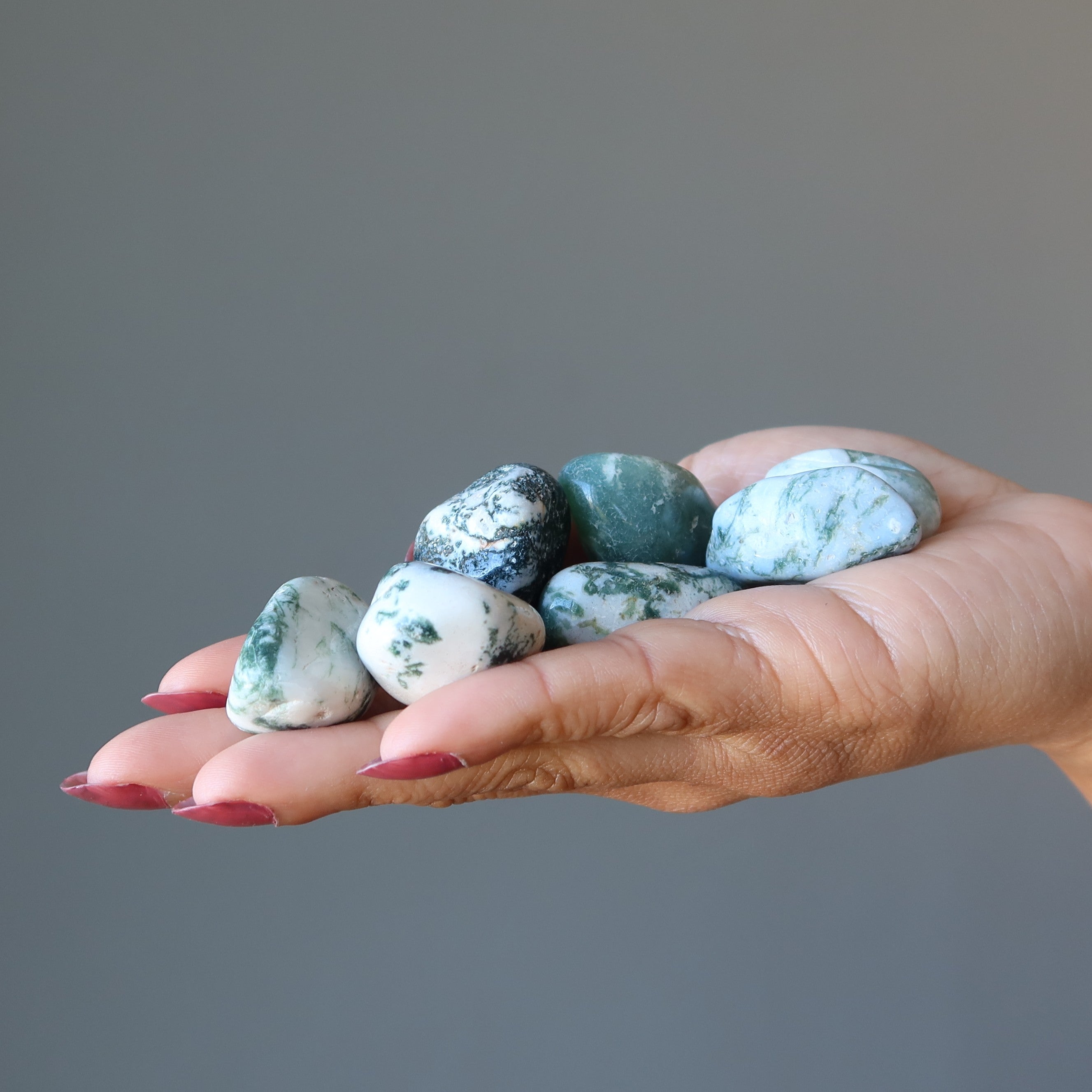 Tree Agate Tumbled Stone Great Outdoors Crystal