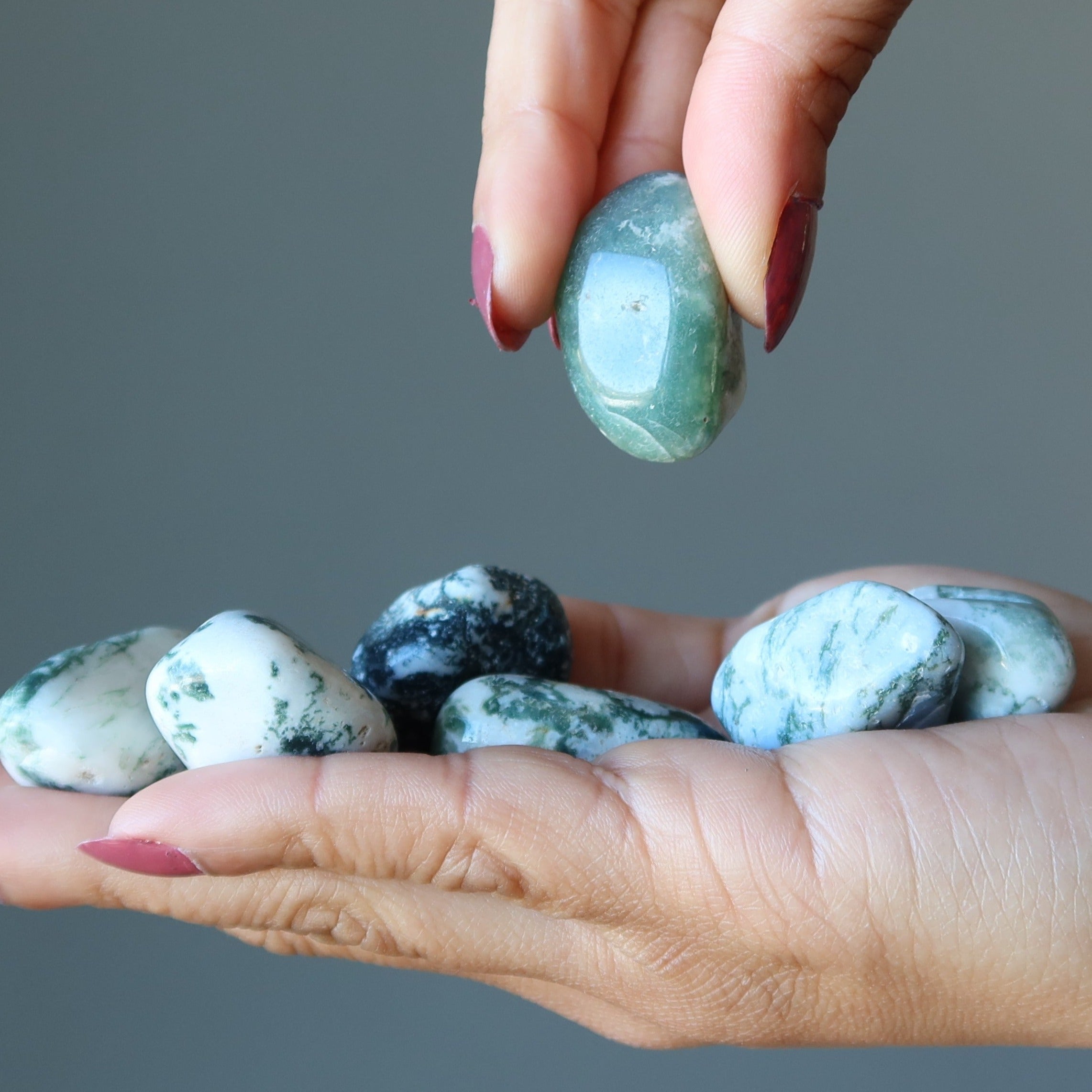 Tree Agate Tumbled Stone Great Outdoors Crystal