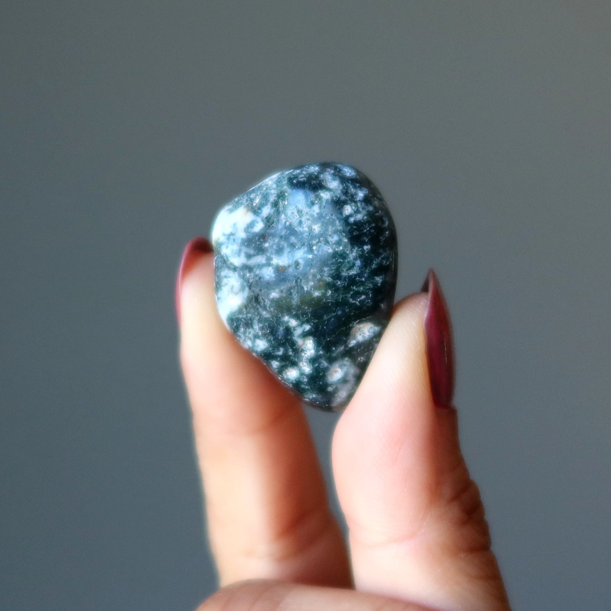 Tree Agate Tumbled Stone Great Outdoors Crystal