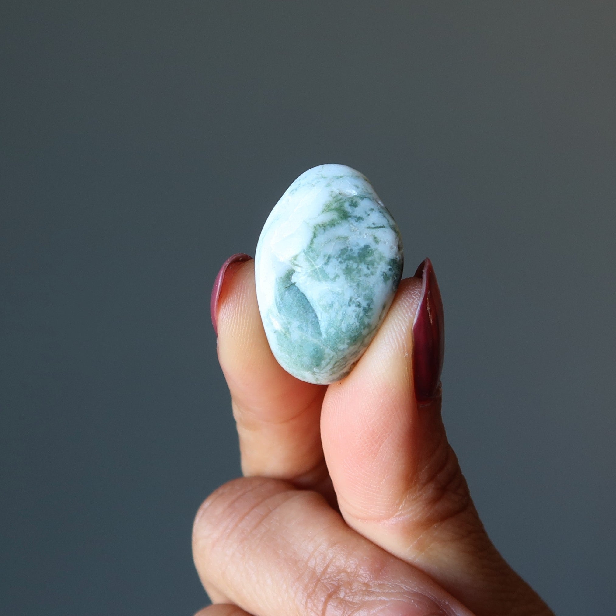 Tree Agate Tumbled Stone Great Outdoors Crystal