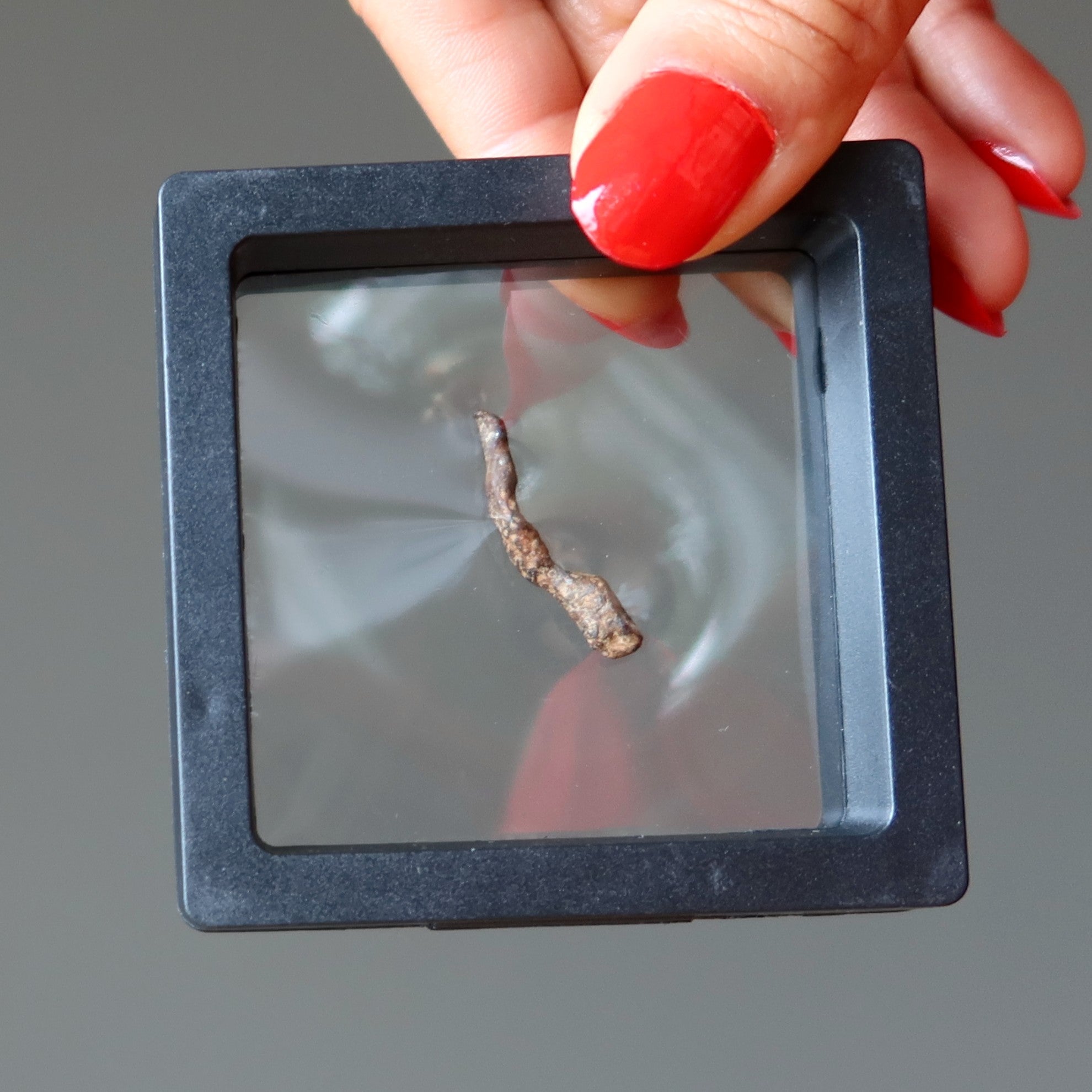 Agoudal Meteorite Chondrite Alien Finger Space Stone