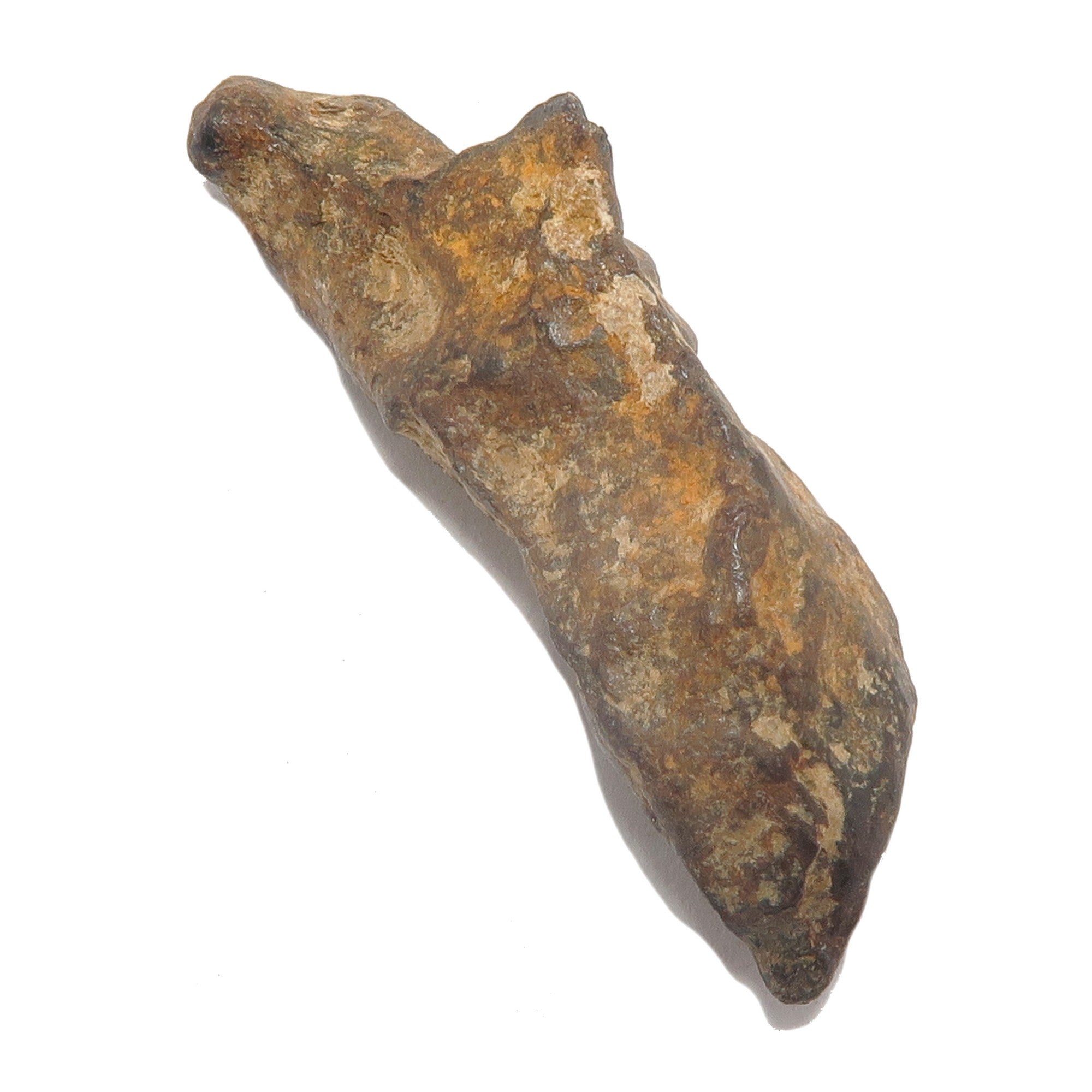 Agoudal Meteorite Chondrite Alien Finger Space Stone