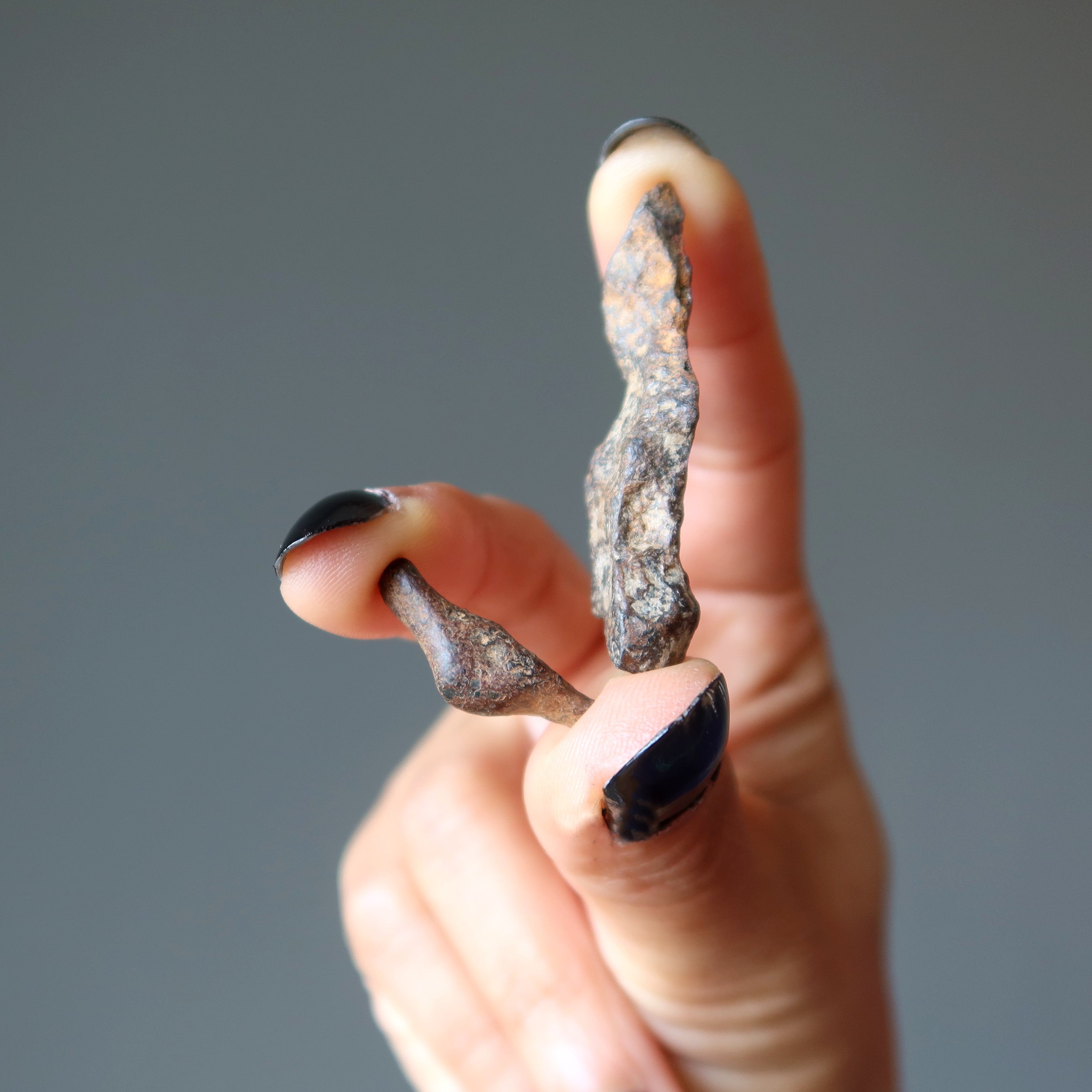 Agoudal Meteorite Chondrite Alien Finger Space Stone