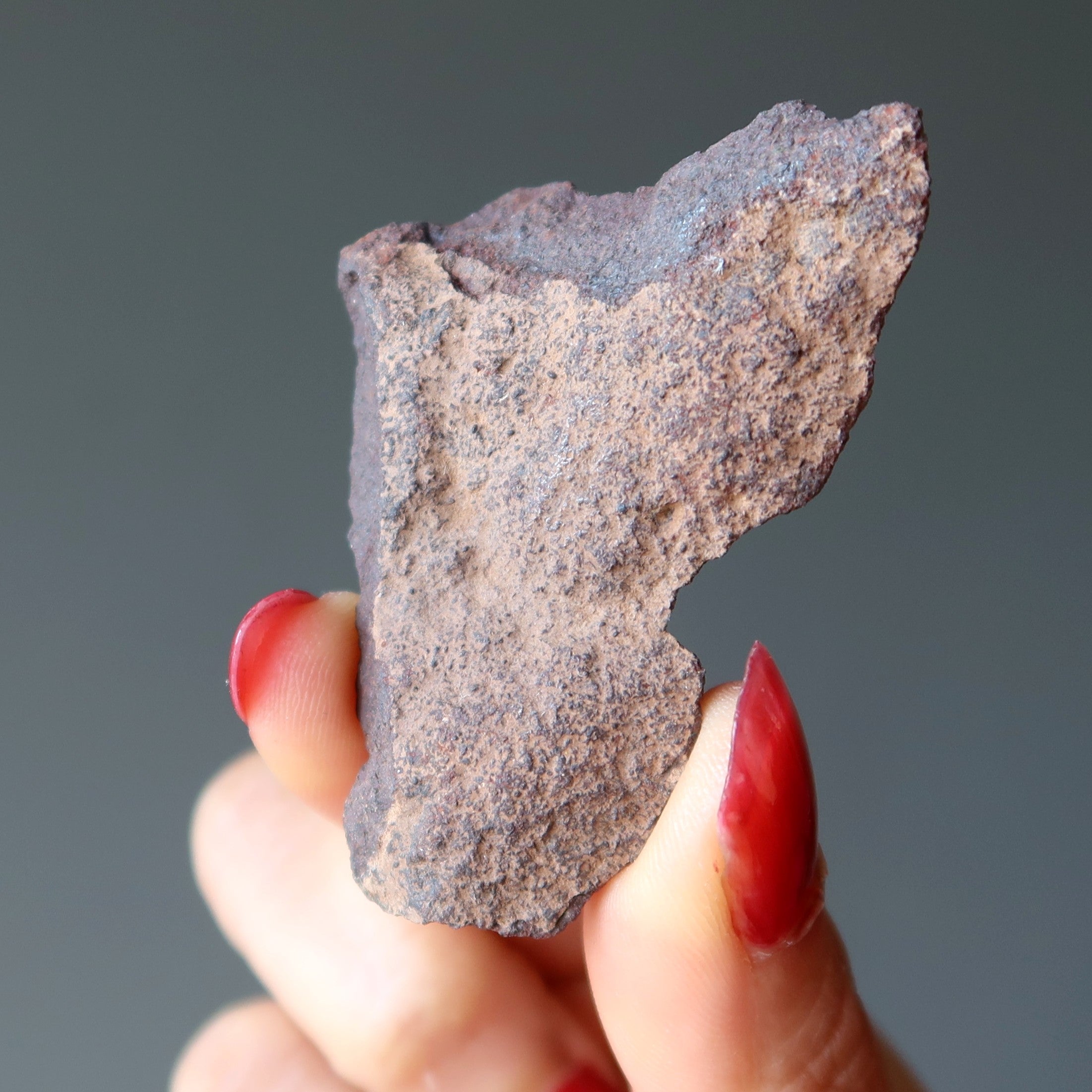 Agoudal Meteorite Cosmic Brown Iron Stone Morocco