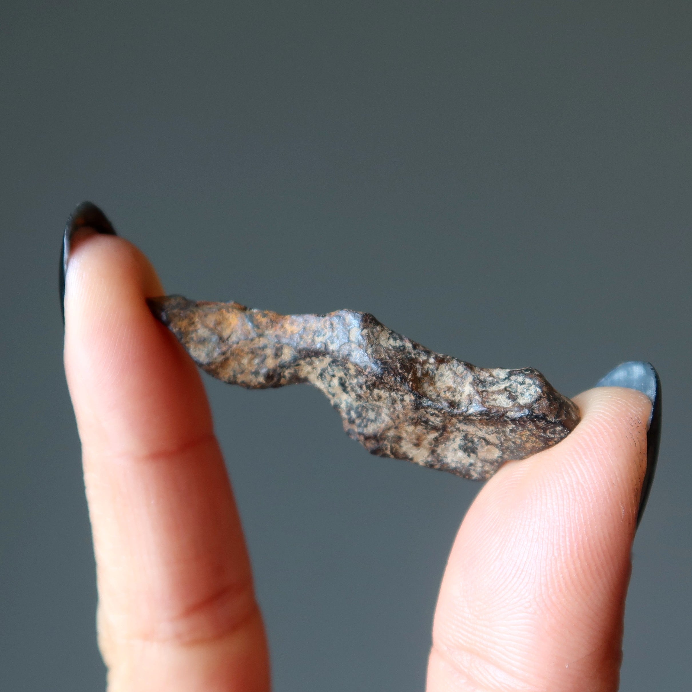 Agoudal Meteorite Chondrite Alien Finger Space Stone