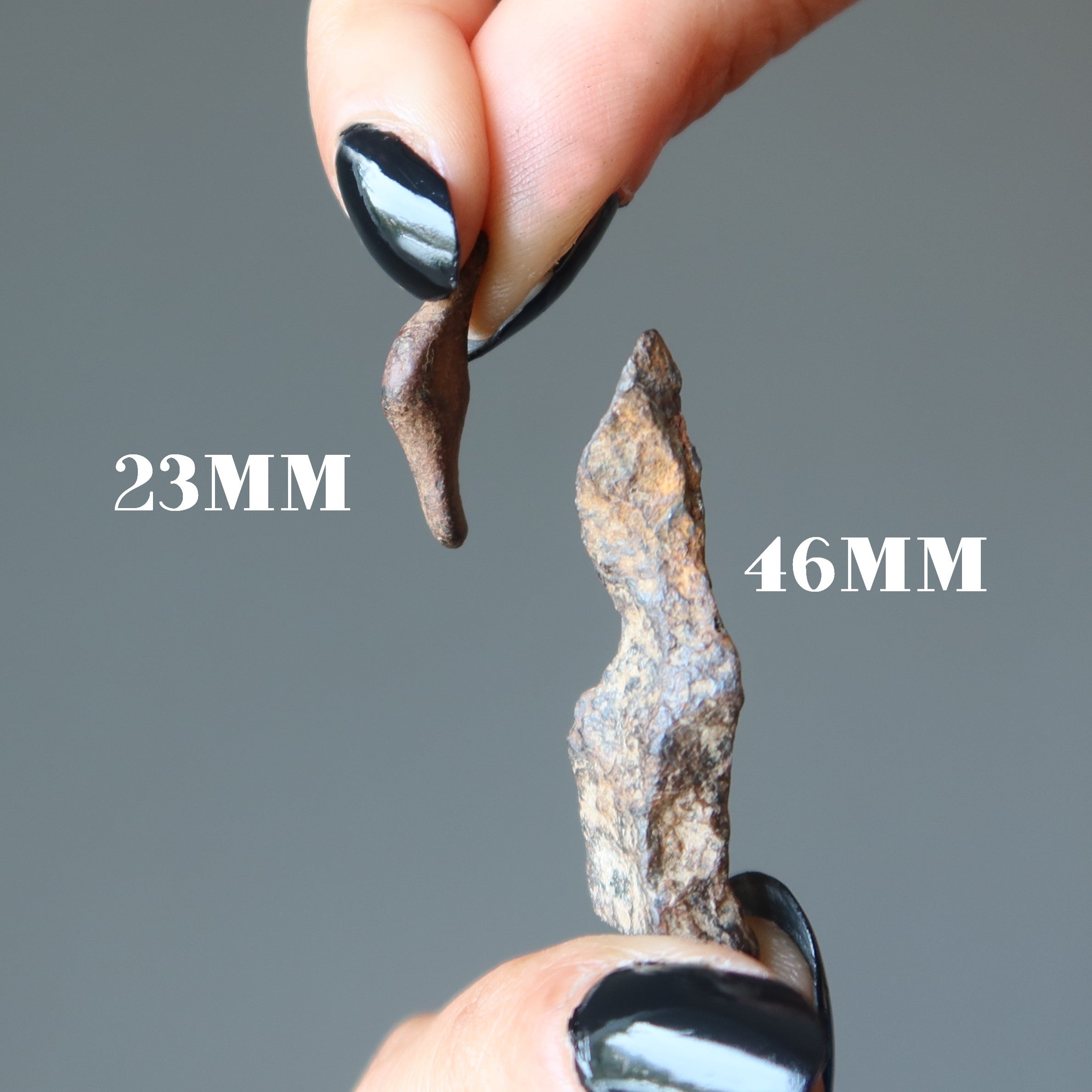 Agoudal Meteorite Chondrite Alien Finger Space Stone