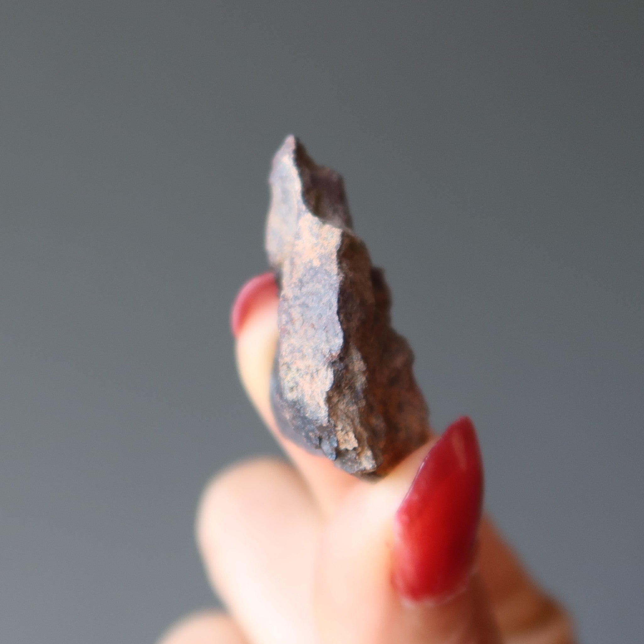 Agoudal Meteorite Cosmic Brown Iron Stone Morocco