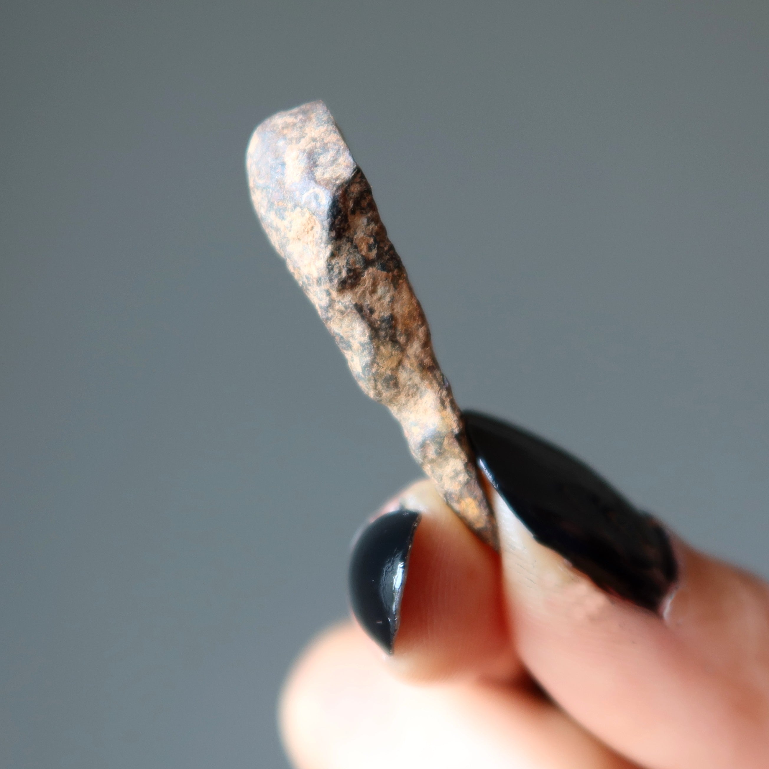 Agoudal Meteorite Chondrite Alien Finger Space Stone