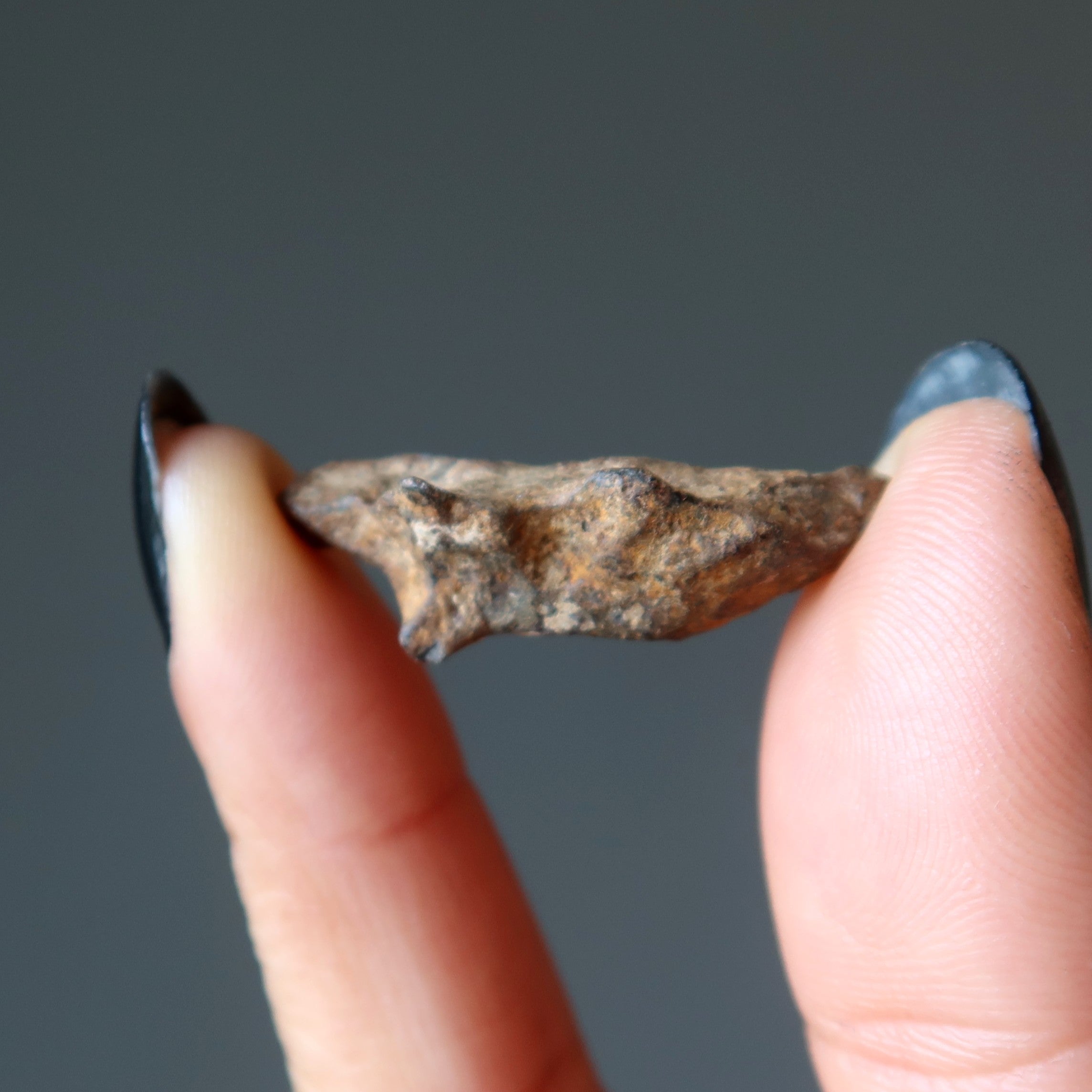 Agoudal Meteorite Chondrite Alien Finger Space Stone