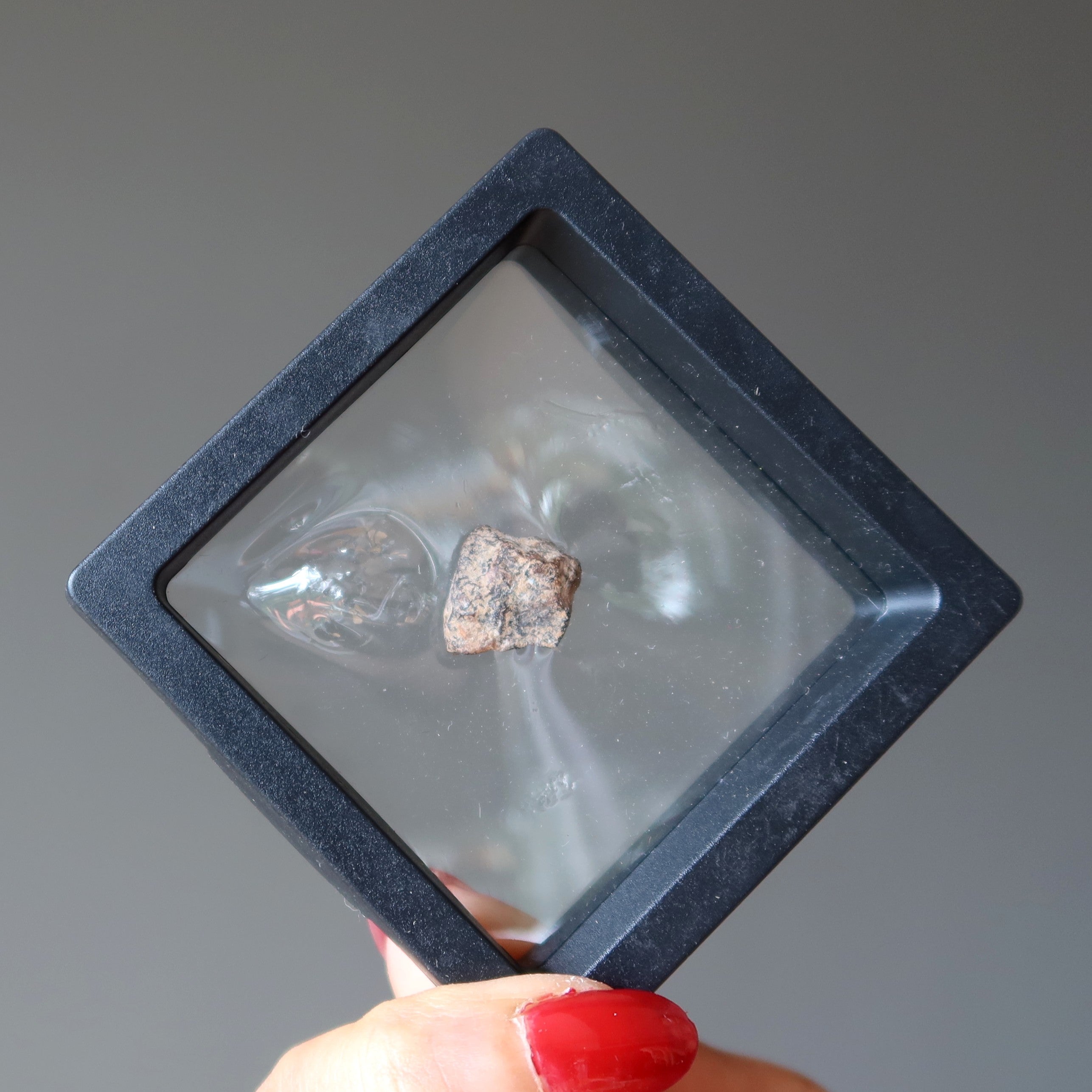 Agoudal Meteorite Cosmic Brown Iron Stone Morocco