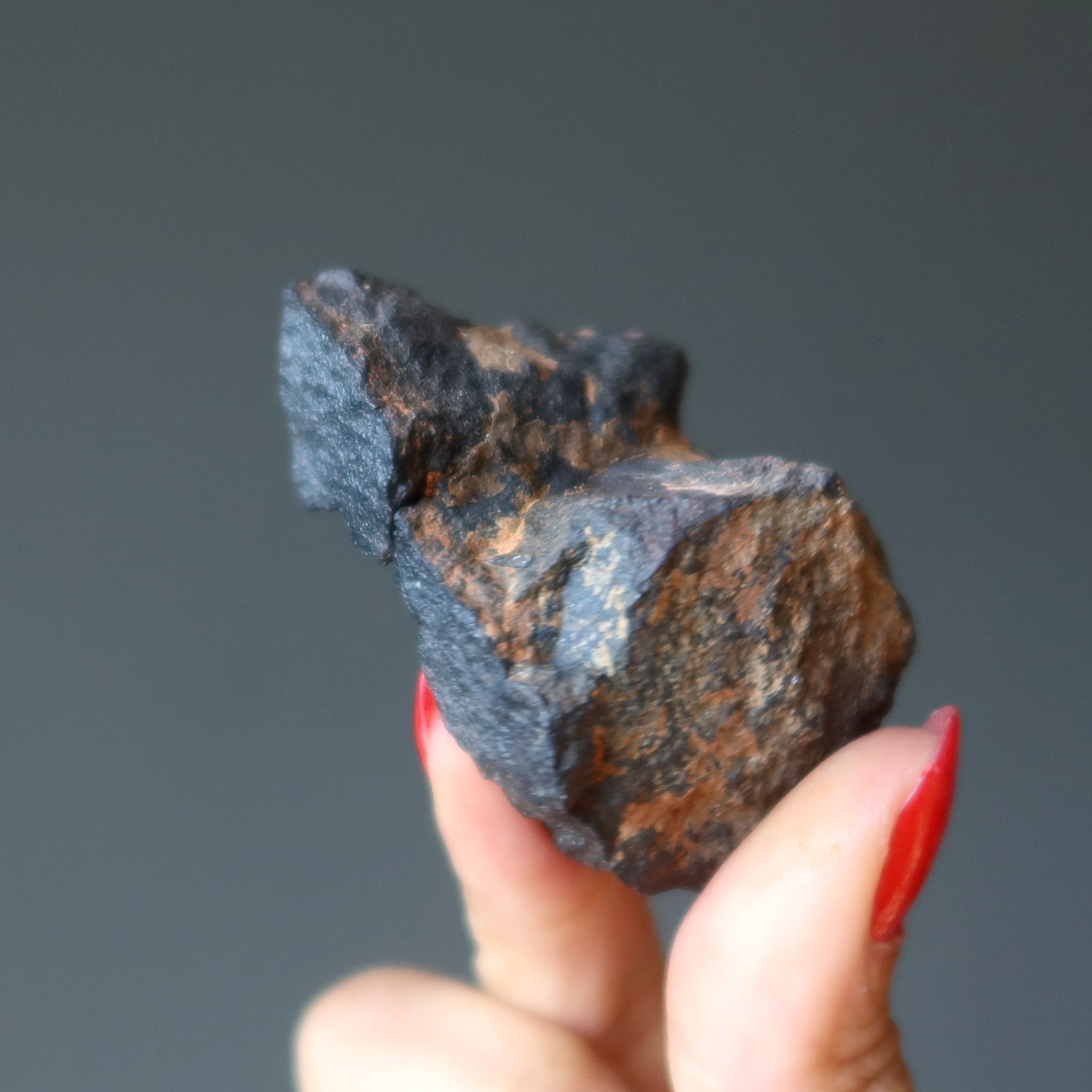 Agoudal Meteorite Jumbo Chondrite Full Bodied Flyer