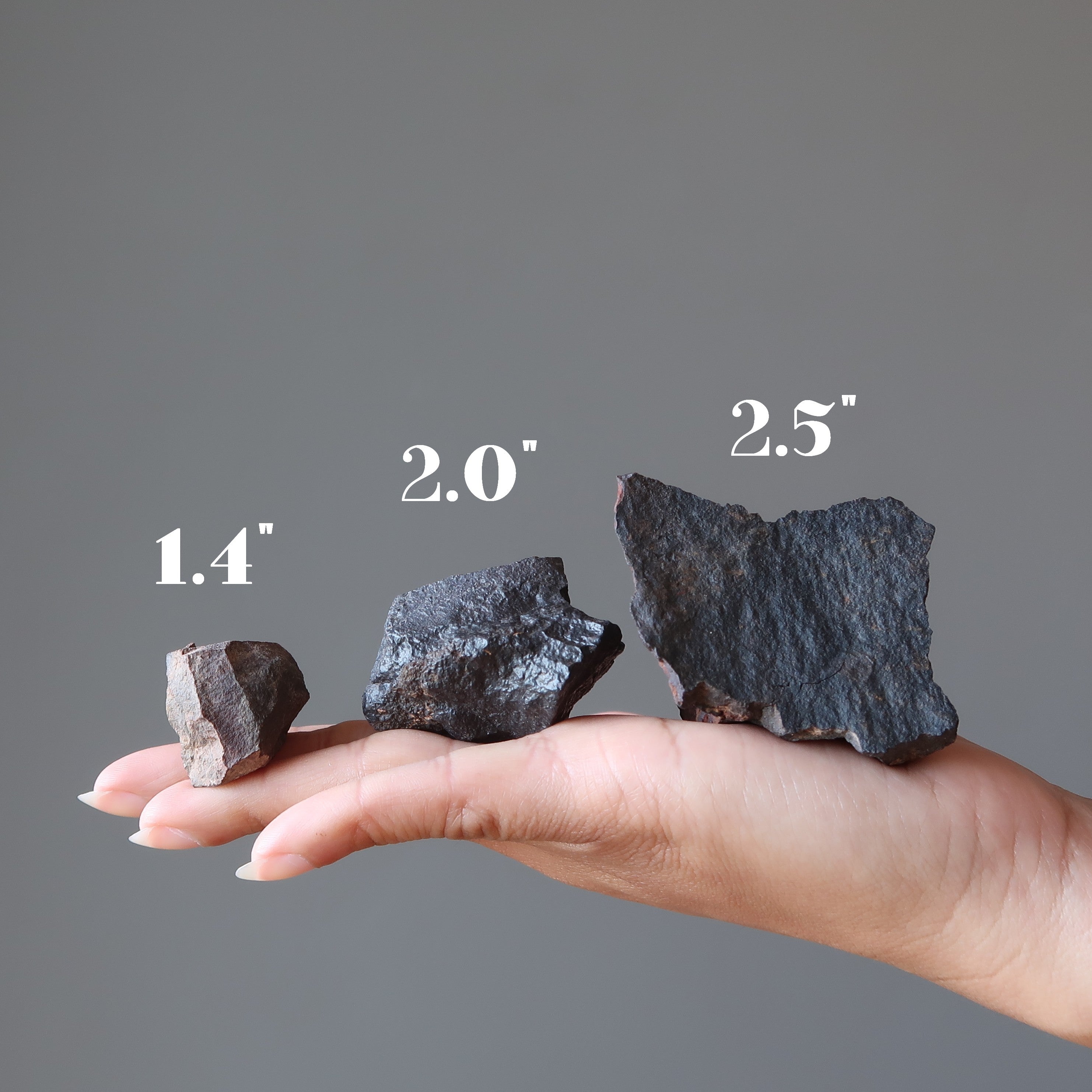 Agoudal Meteorite Jumbo Chondrite Full Bodied Flyer