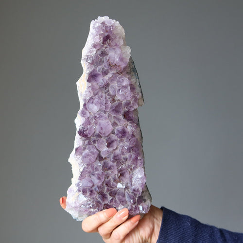 Amethyst Geode Lila Cluster Herrlich Groß 11.5 Zoll