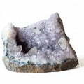 Sculpture de 8 pouces en cristal sacré géode d'améthyste et calcite dent de chien