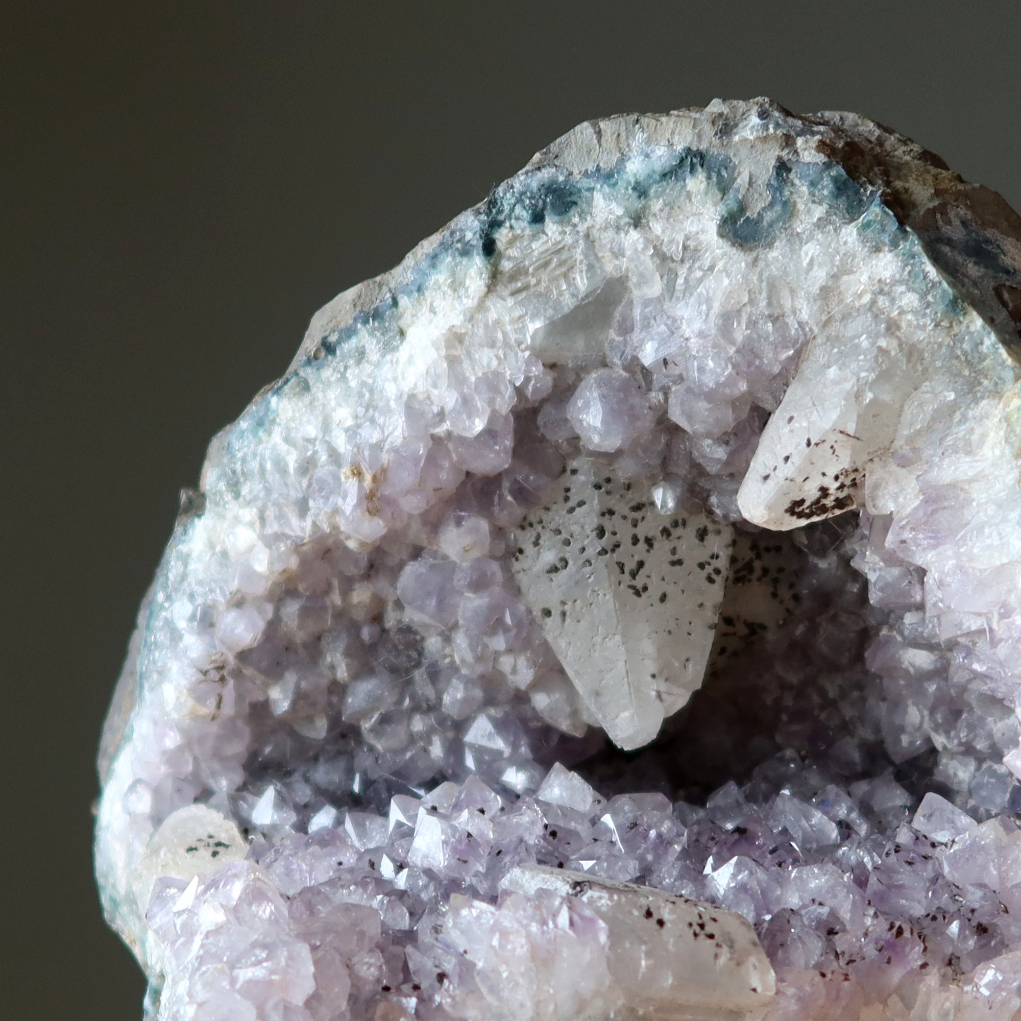 Sculpture de 8 pouces en cristal sacré géode d'améthyste et calcite dent de chien