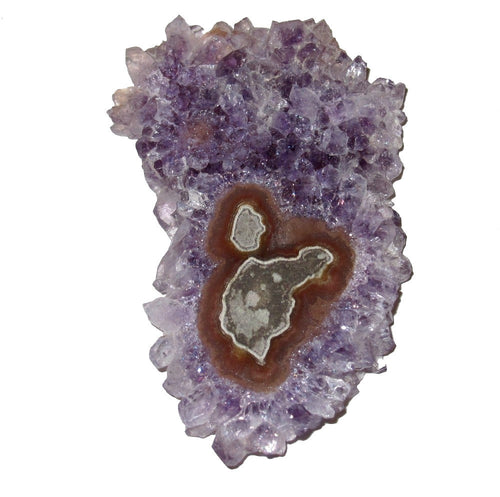 Amethyst Cabochon Glänzende Lila Scheibe des Paradieses Edelsteinblume