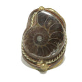 Bague Ammonite Fossile Gemme Pouvoir Ancien Ajustable