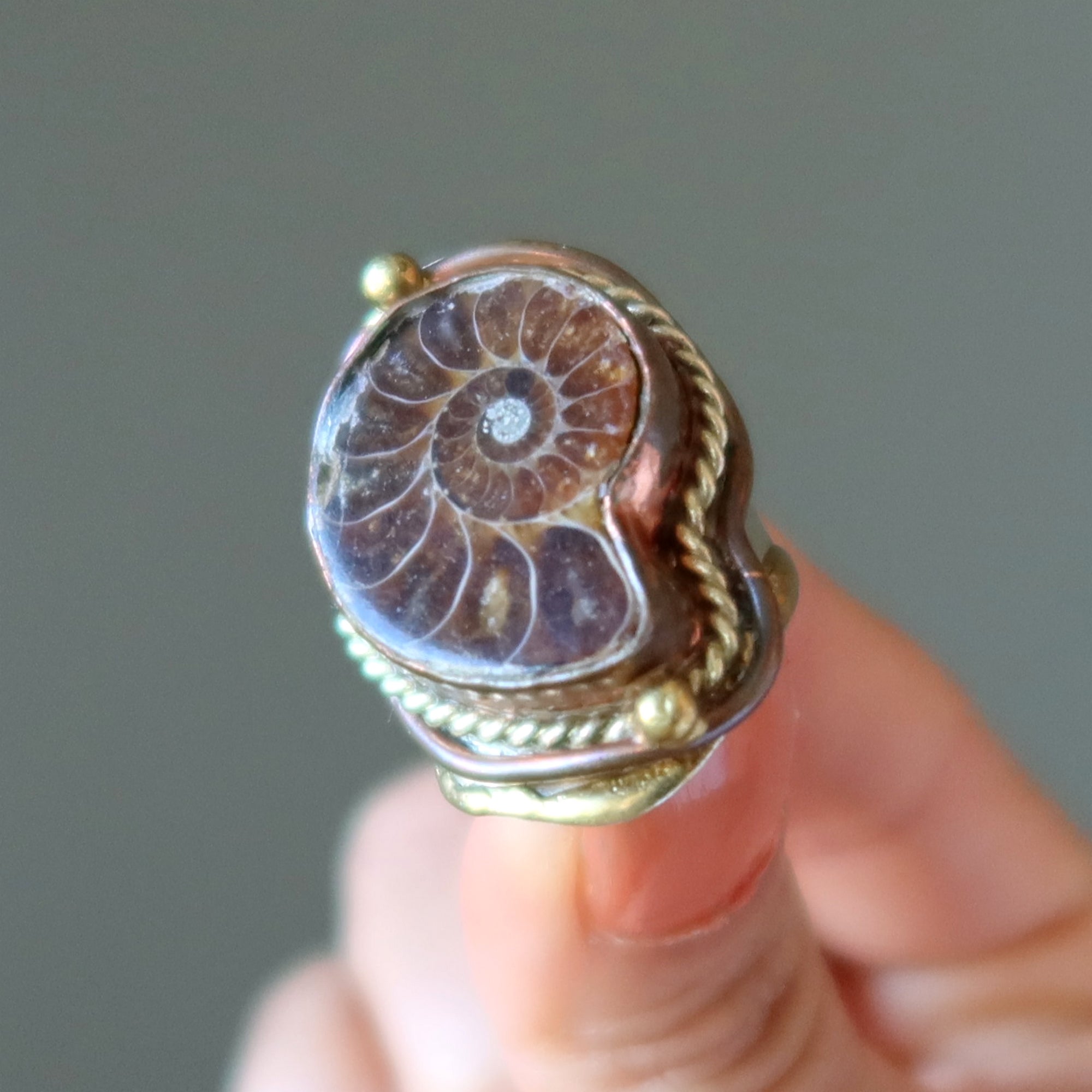 Bague Ammonite Fossile Gemme Pouvoir Ancien Ajustable