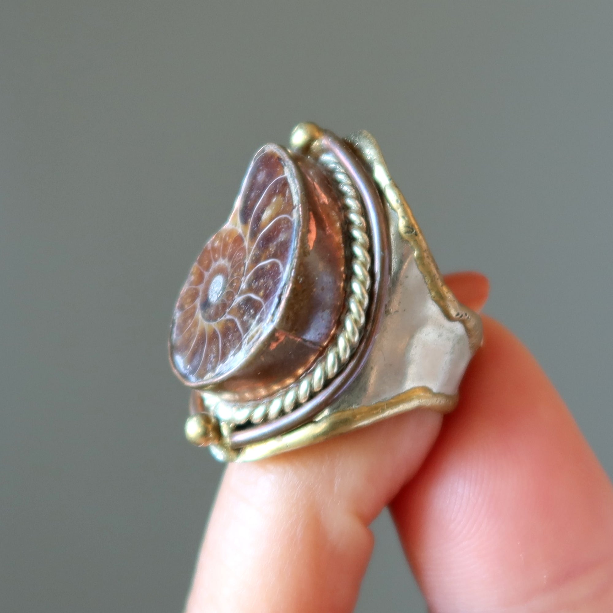 Bague Ammonite Fossile Gemme Pouvoir Ancien Ajustable
