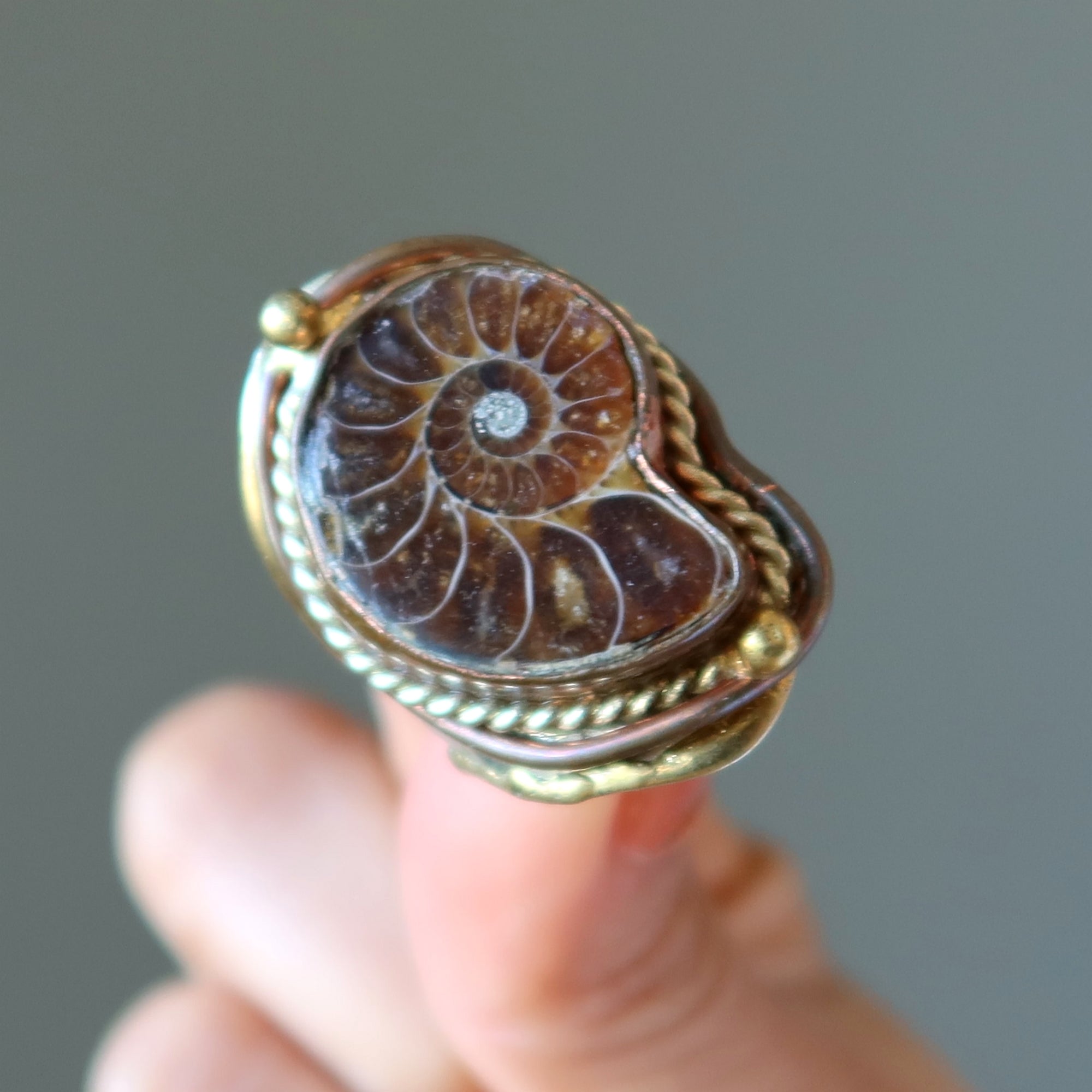 Bague Ammonite Fossile Gemme Pouvoir Ancien Ajustable