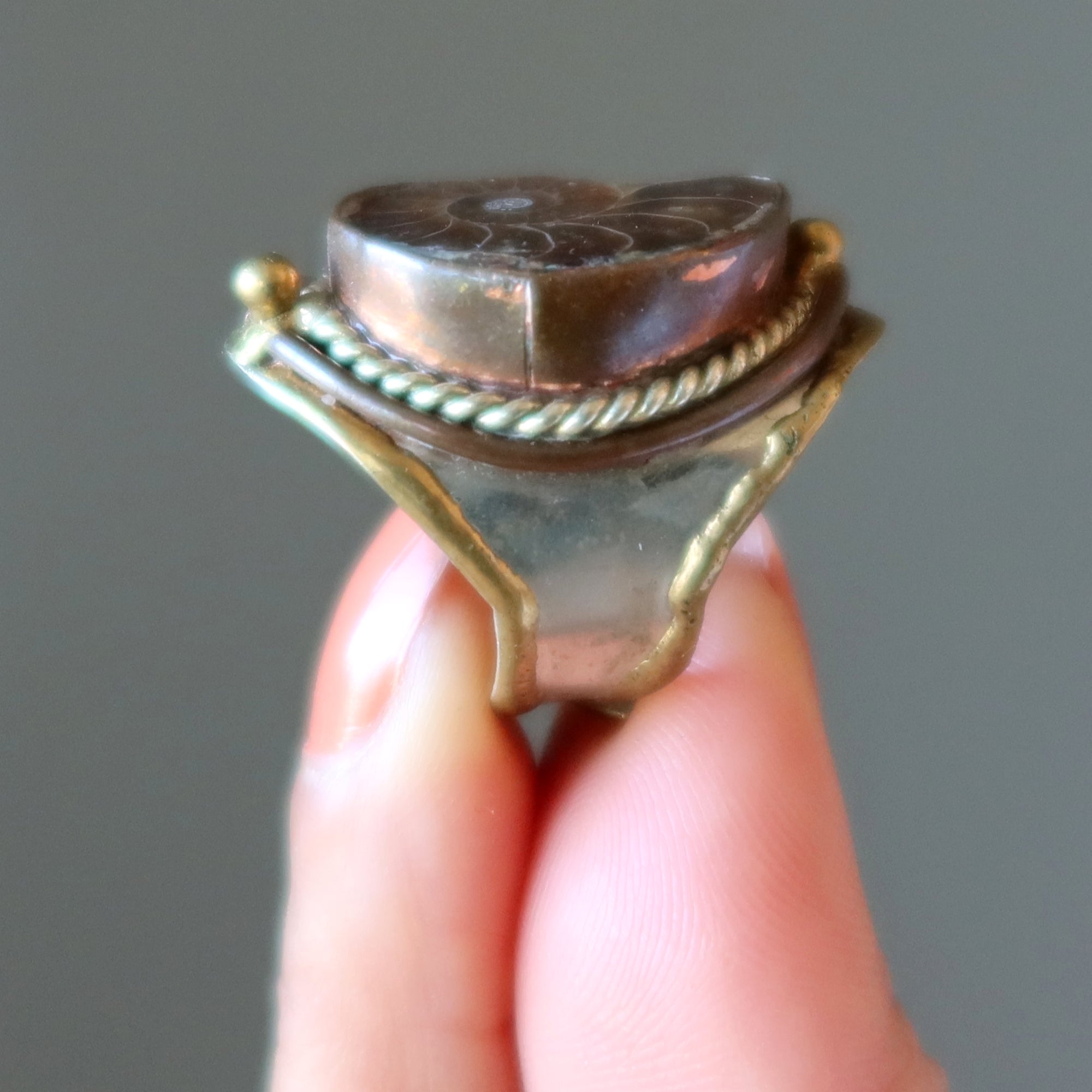 Bague Ammonite Fossile Gemme Pouvoir Ancien Ajustable