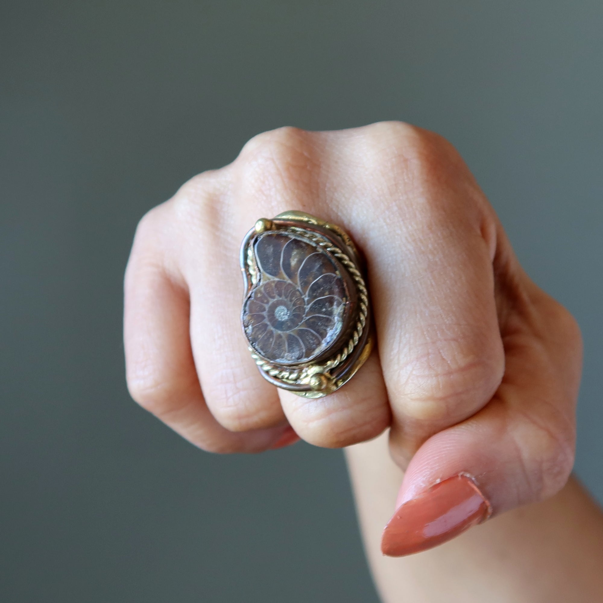 Bague Ammonite Fossile Gemme Pouvoir Ancien Ajustable