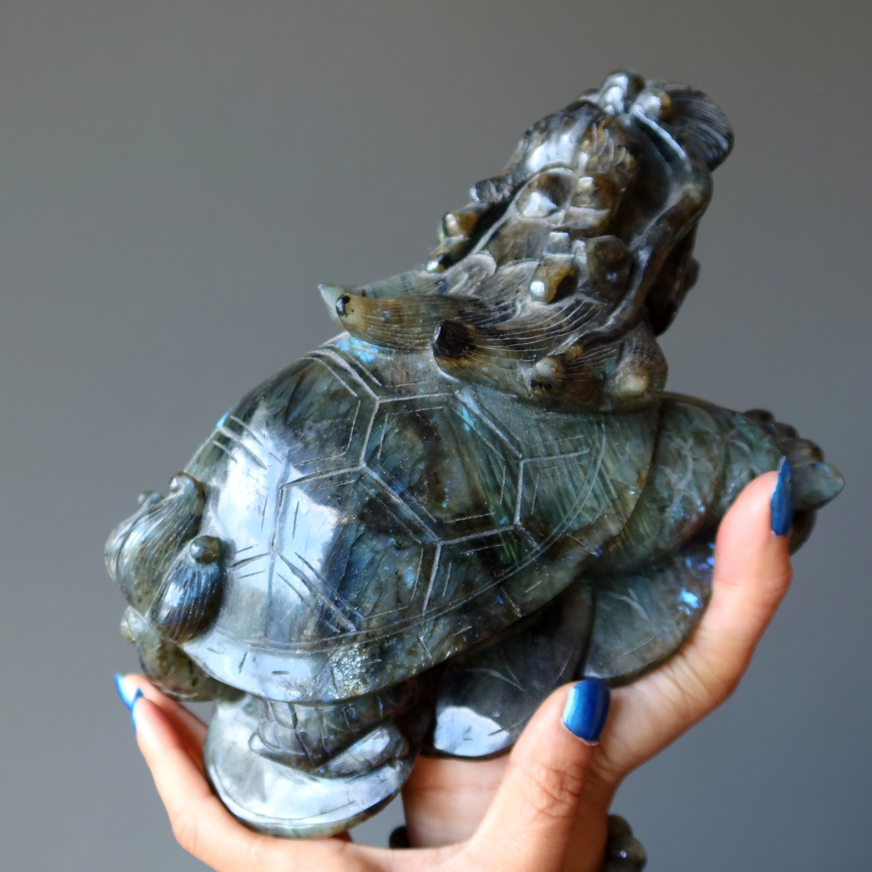 Statue XXL de 9 pouces représentant une tortue dragon en labradorite aux couleurs de l'arc-en-ciel, porte-bonheur