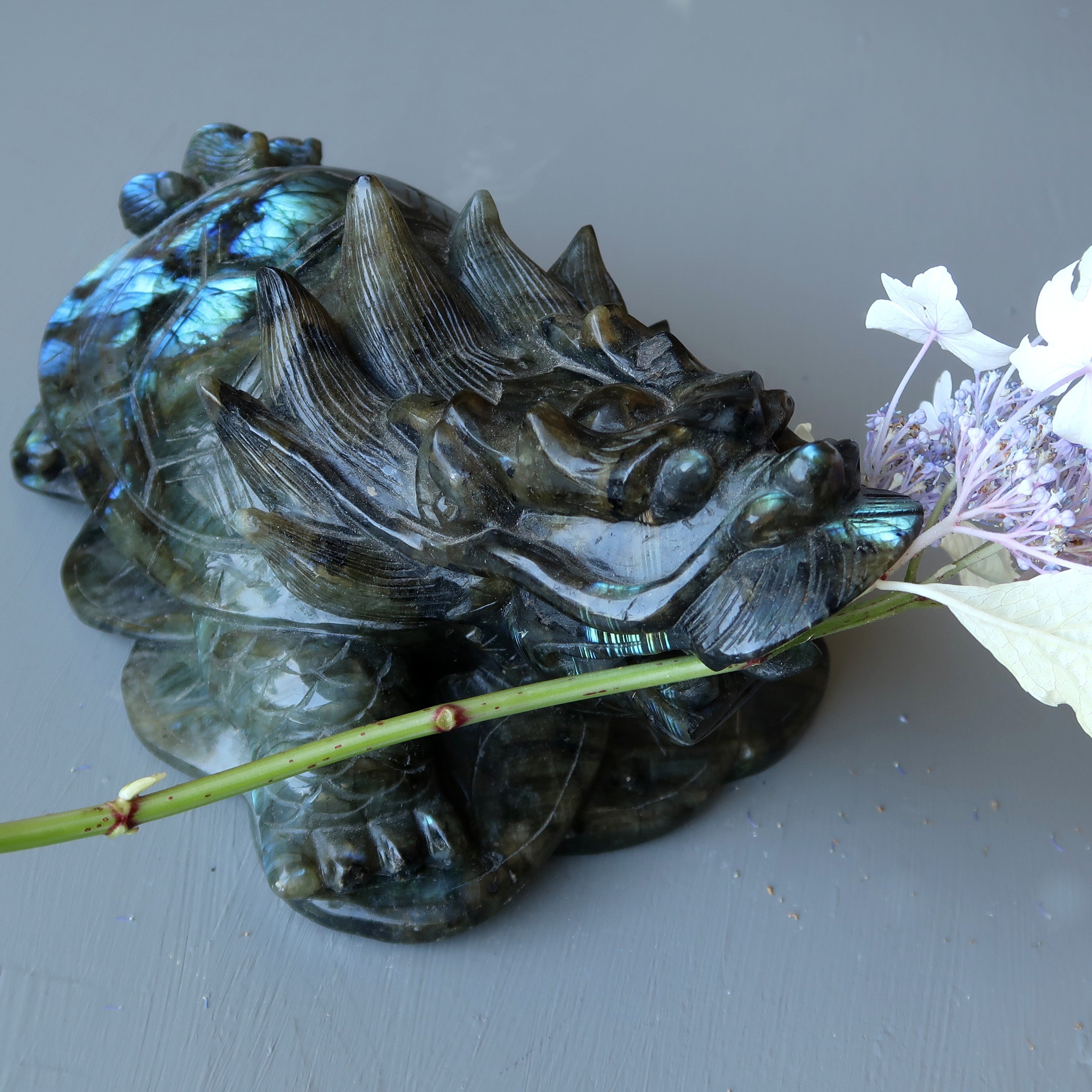 Statue XXL de 9 pouces représentant une tortue dragon en labradorite aux couleurs de l'arc-en-ciel, porte-bonheur