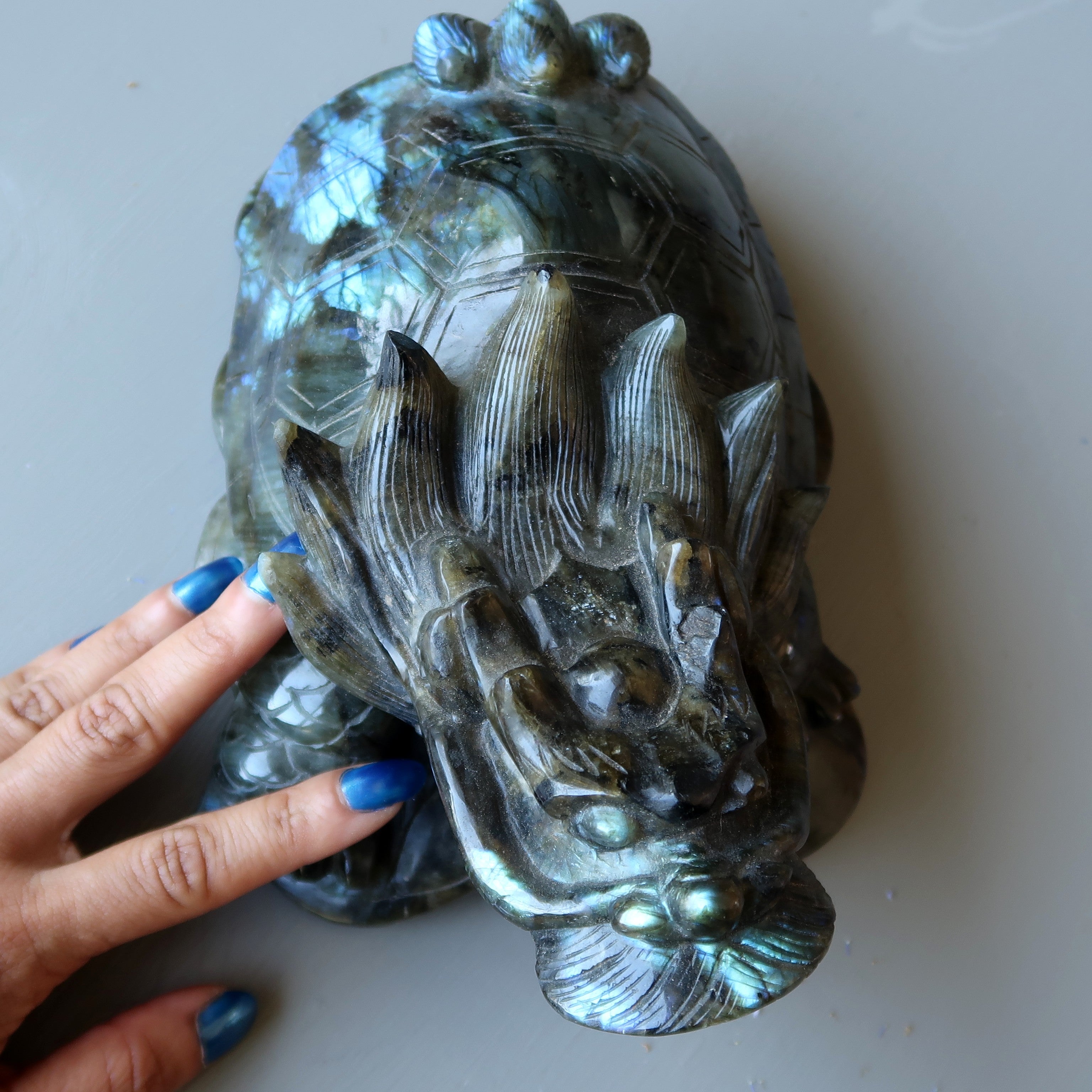 Statue XXL de 9 pouces représentant une tortue dragon en labradorite aux couleurs de l'arc-en-ciel, porte-bonheur