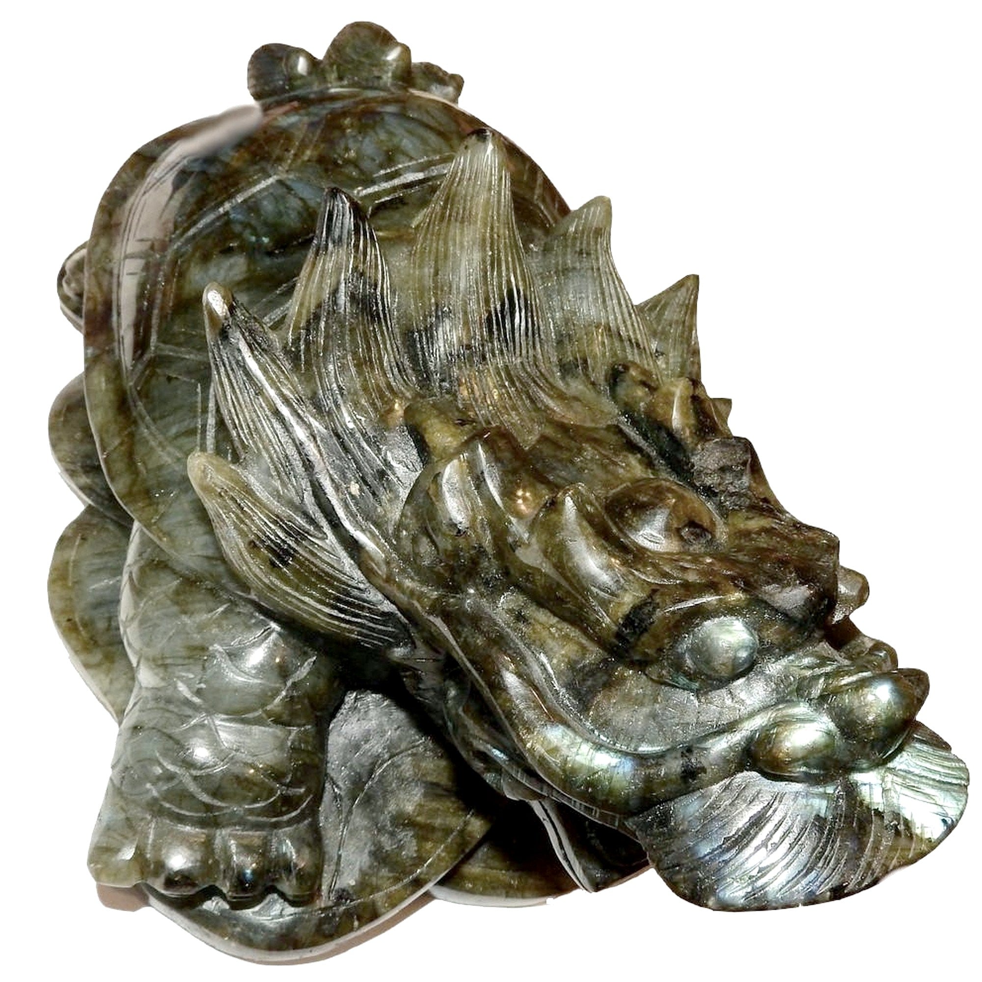 Statue XXL de 9 pouces représentant une tortue dragon en labradorite aux couleurs de l'arc-en-ciel, porte-bonheur