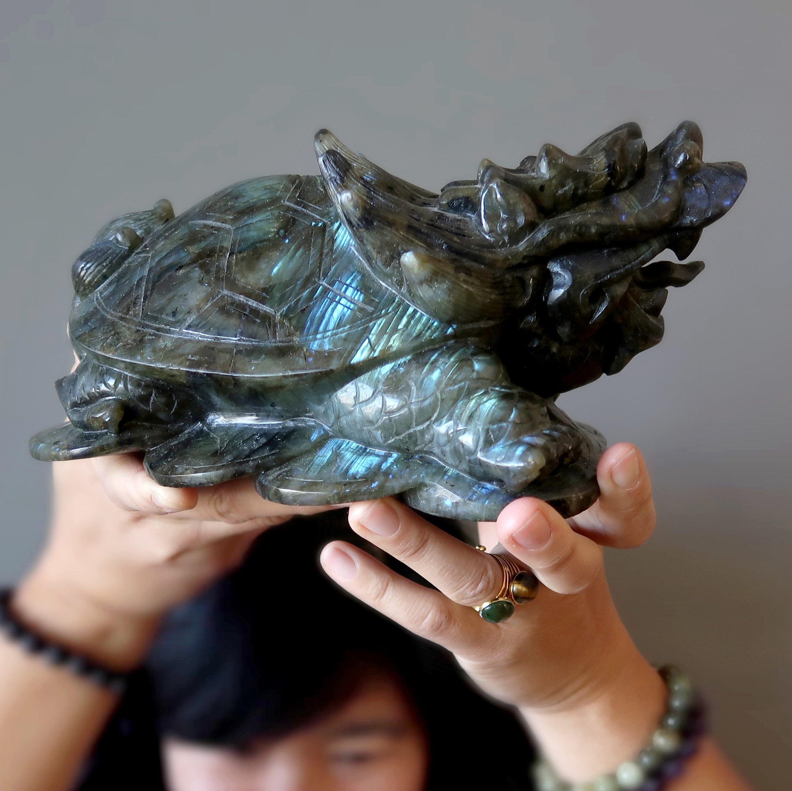 Statue XXL de 9 pouces représentant une tortue dragon en labradorite aux couleurs de l'arc-en-ciel, porte-bonheur