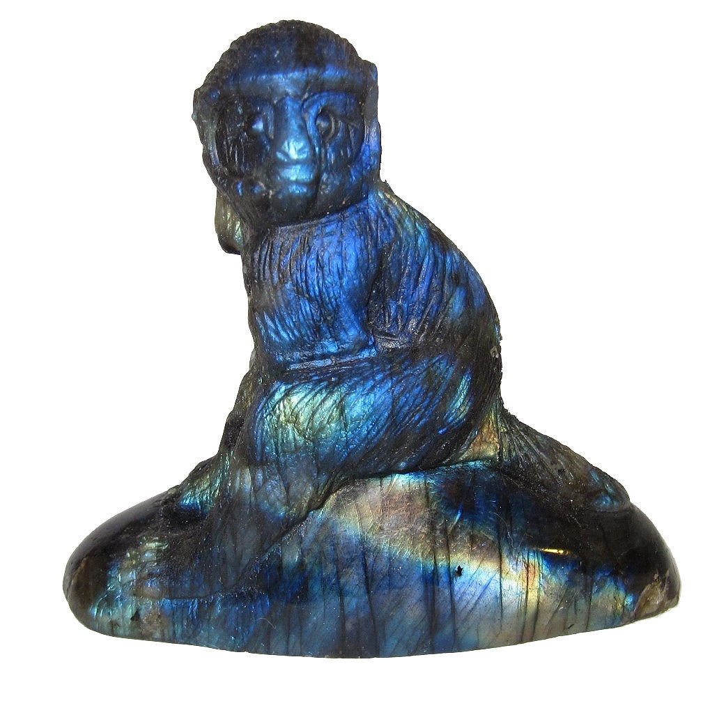 Figurine d'animal sculptée en cristal de labradorite bleue irisée, singe