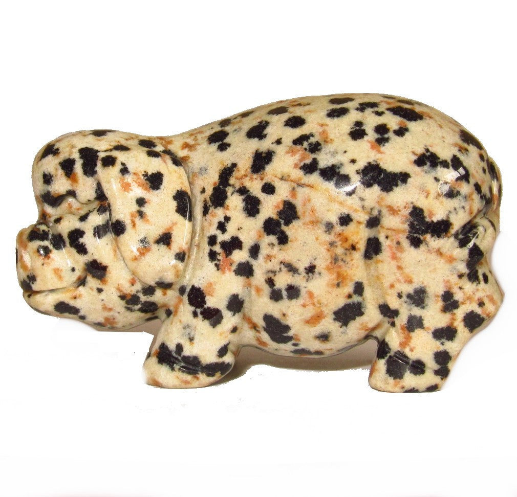 Dalmatian Jasper Pig Cheery Abundance Intelligent Animal Set