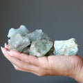 Aquamarine Raw Crystal Bundle Soul Cleansing Set of 9