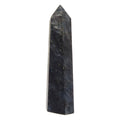 Arfvedsonite Tower Wand Zip Zap Black Blue Point