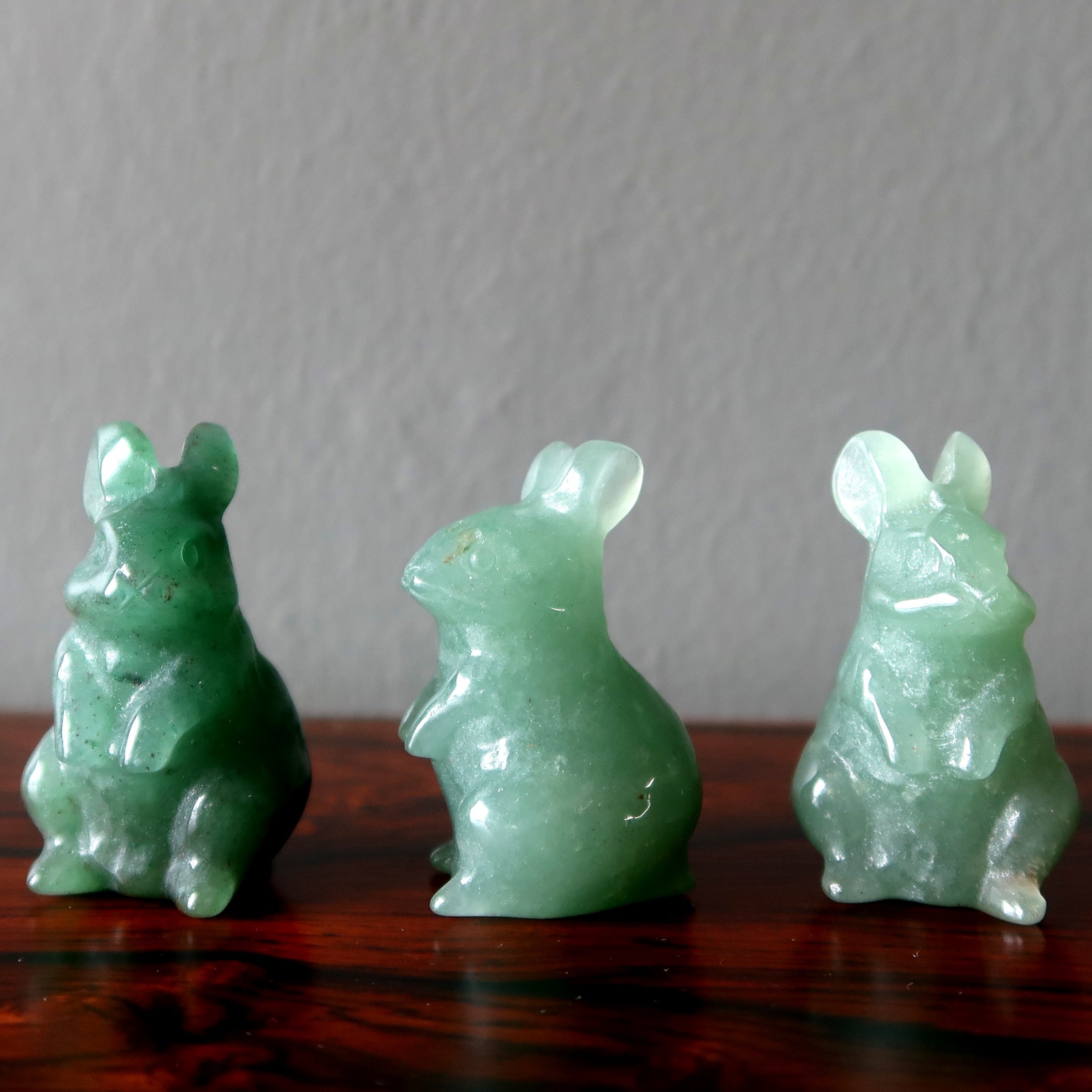 Grüner Aventurin Kaninchen Hase Lebensabenteuer Tier