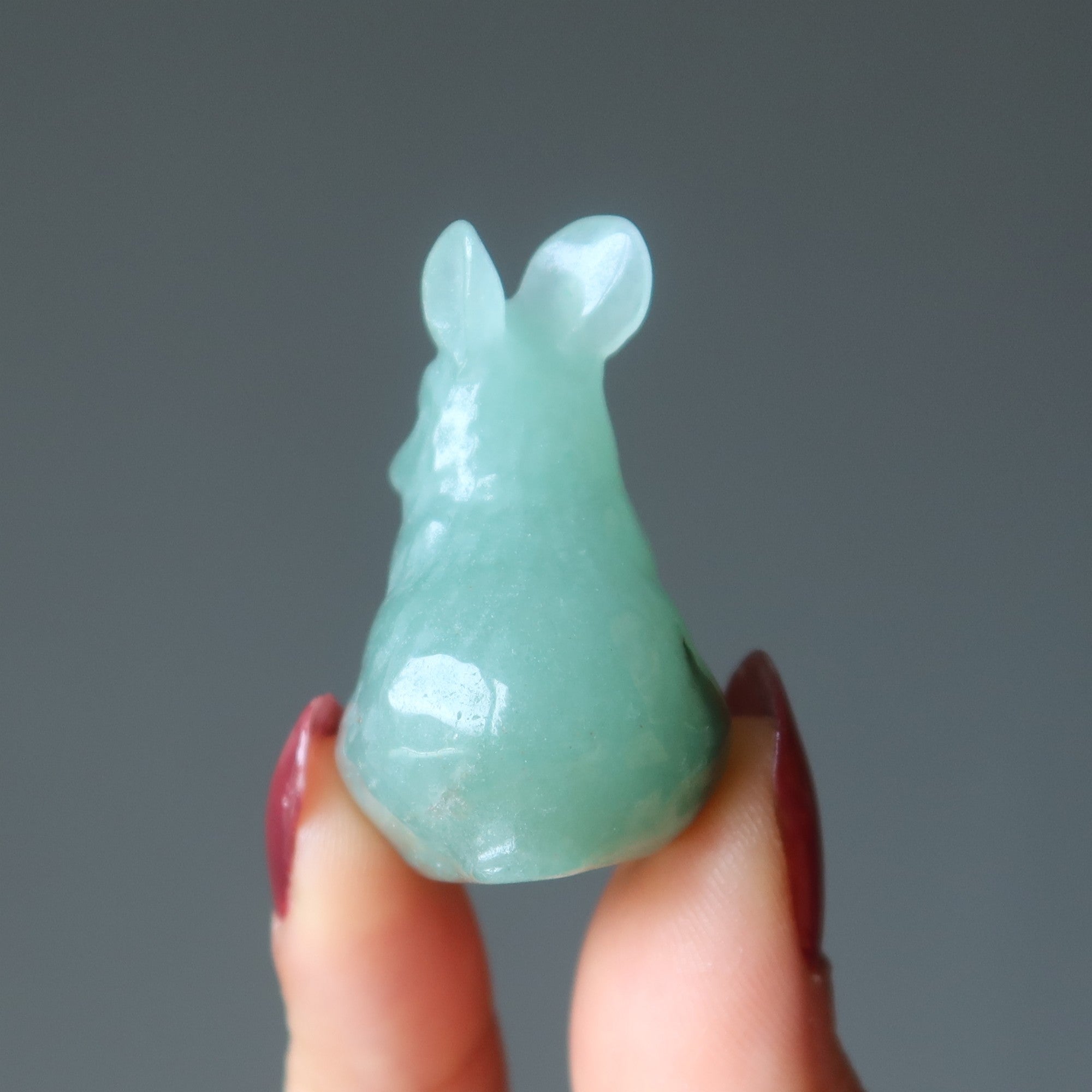 Grüner Aventurin Kaninchen Hase Lebensabenteuer Tier