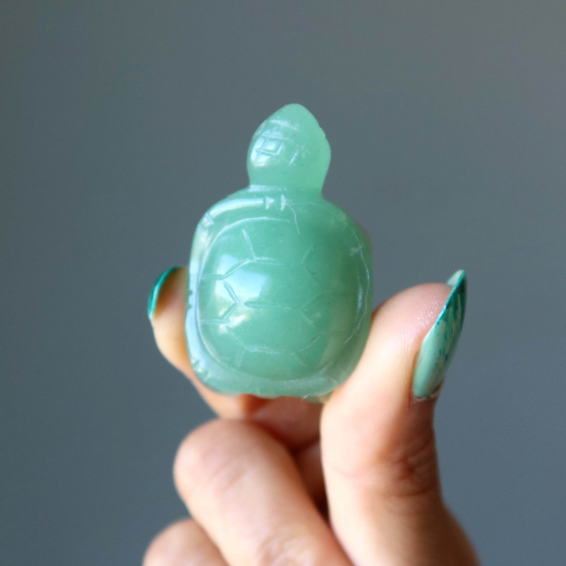 Green Aventurine Turtle Walk of Wealth Stone