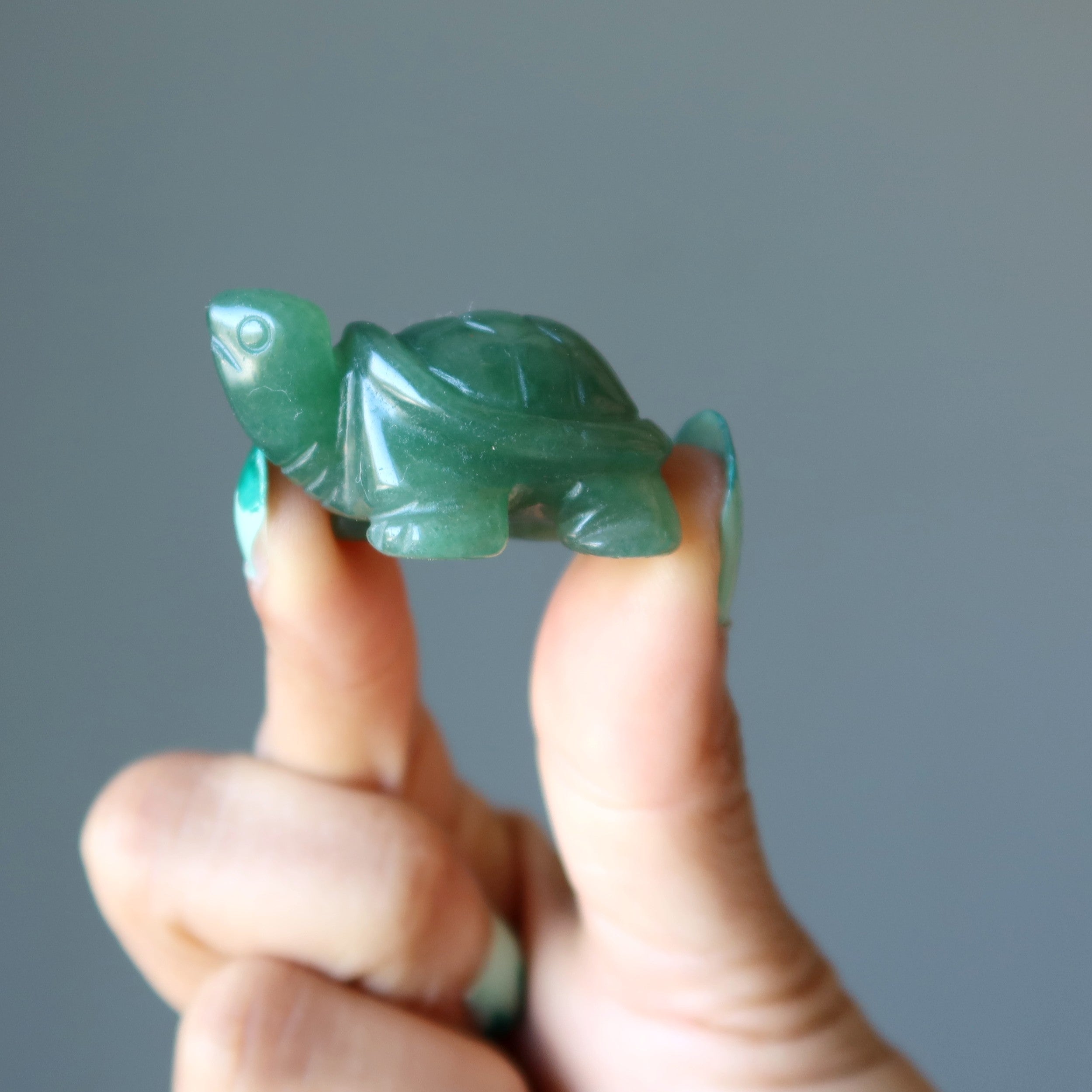 Green Aventurine Turtle Walk of Wealth Stone